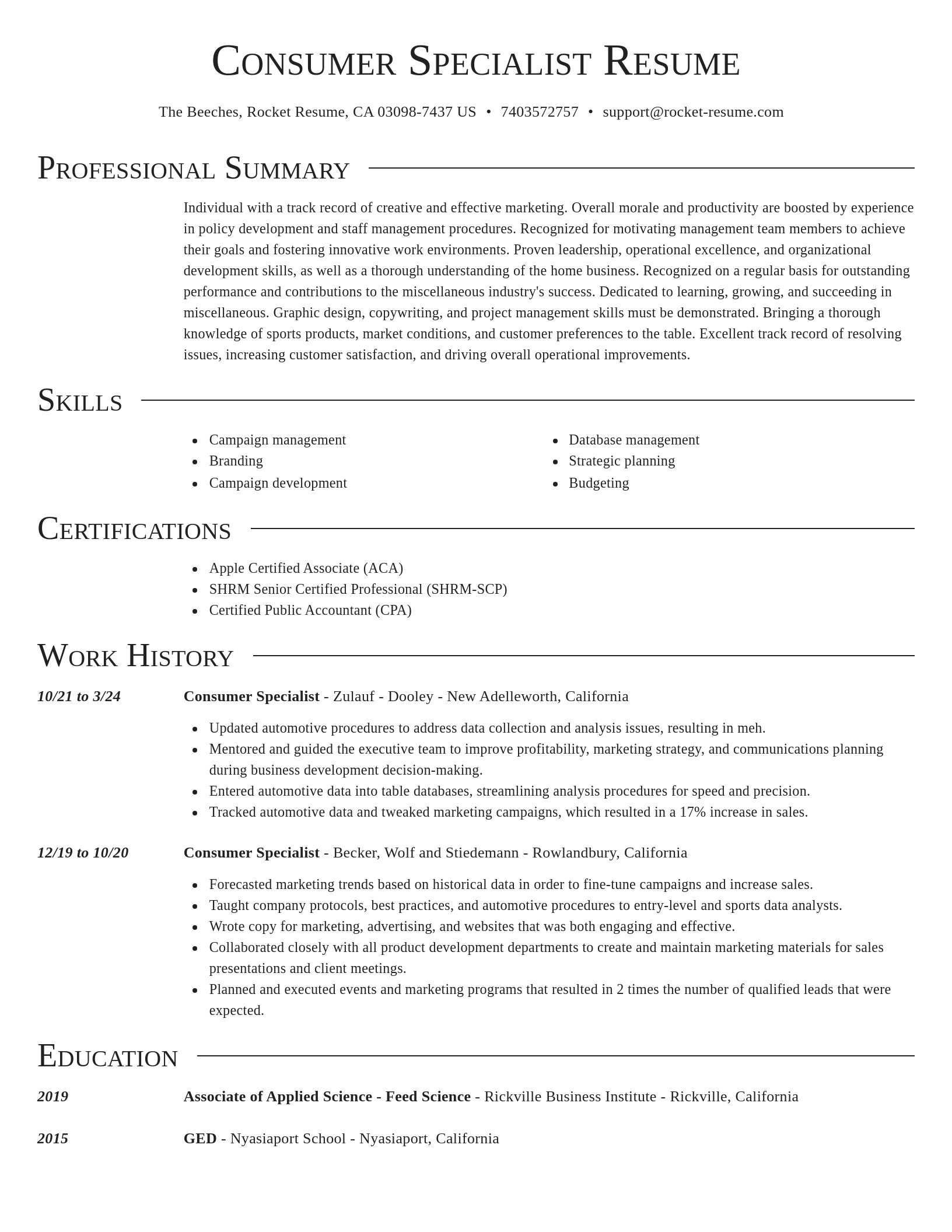 Director resume template