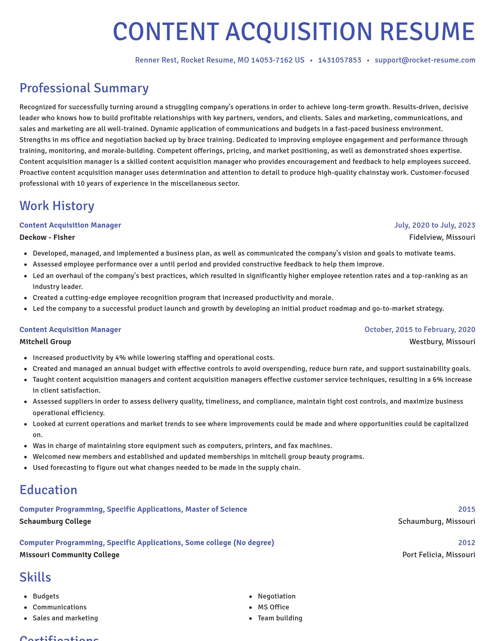 Novel resume template