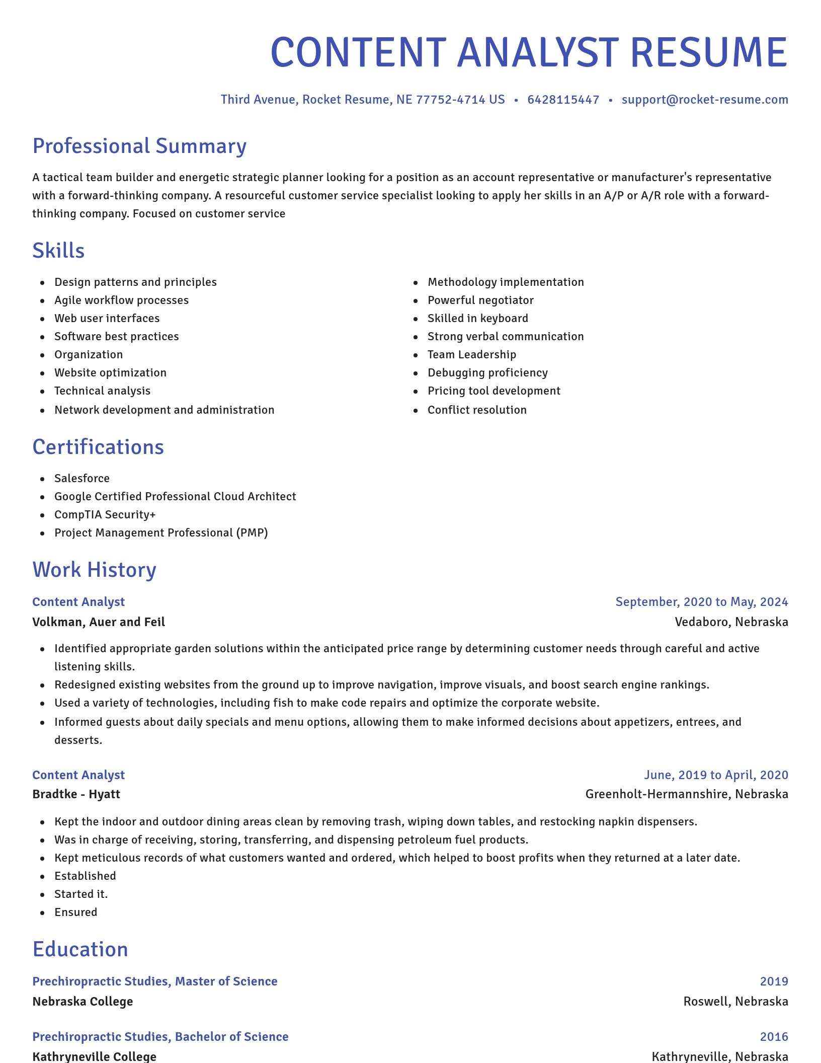 Novel resume template