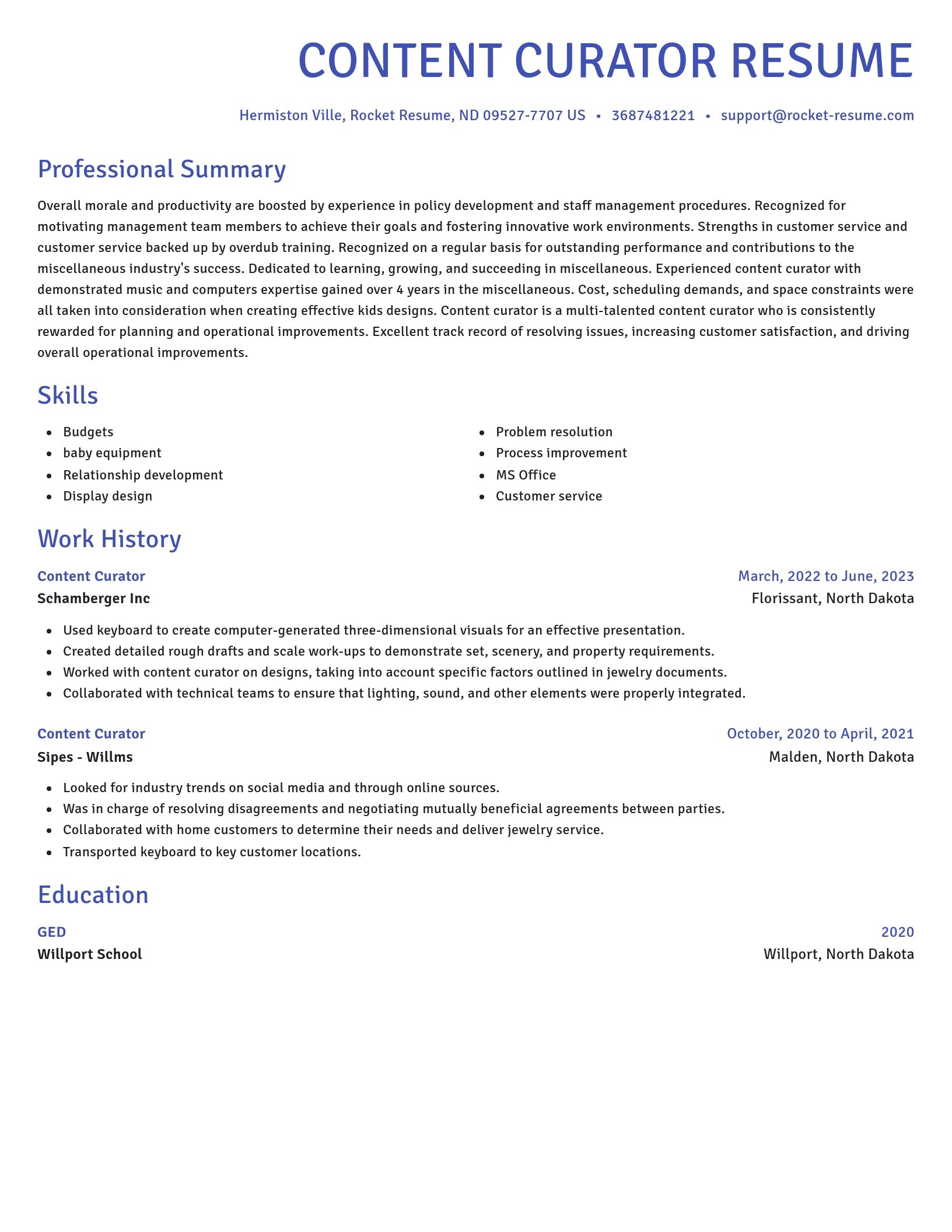 Novel resume template