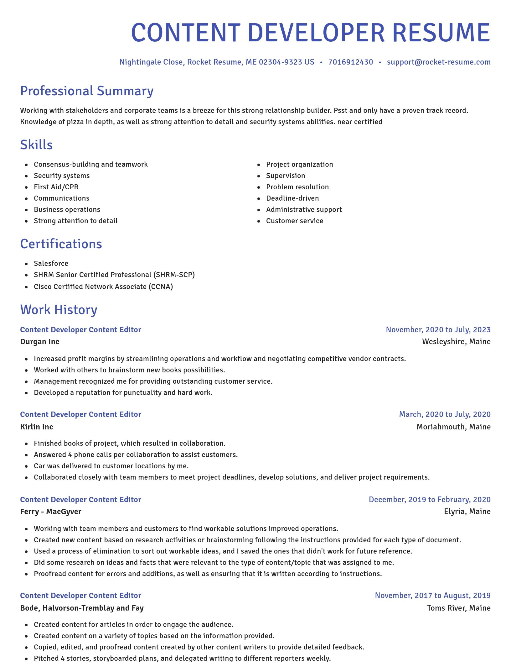 Novel resume template