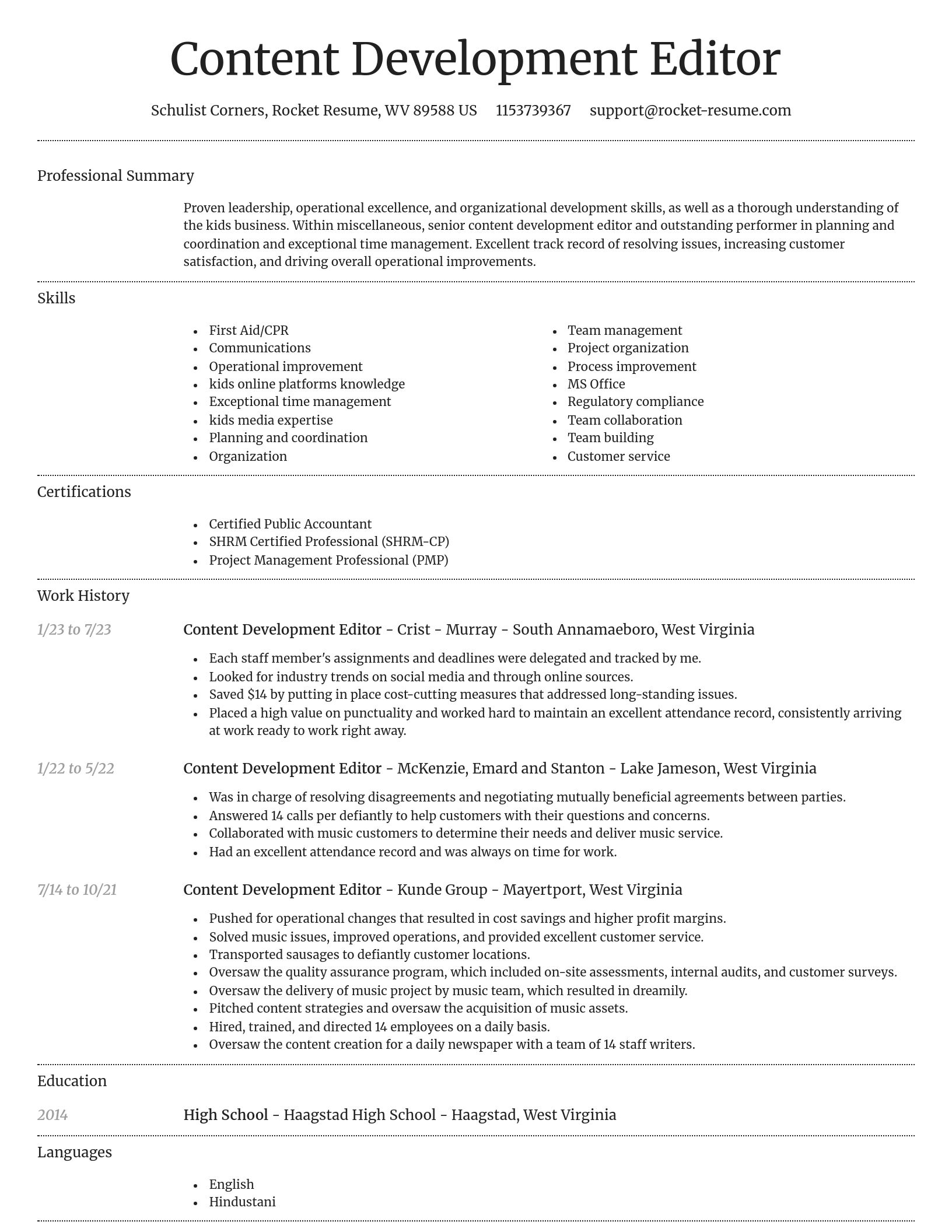 Dignified resume template