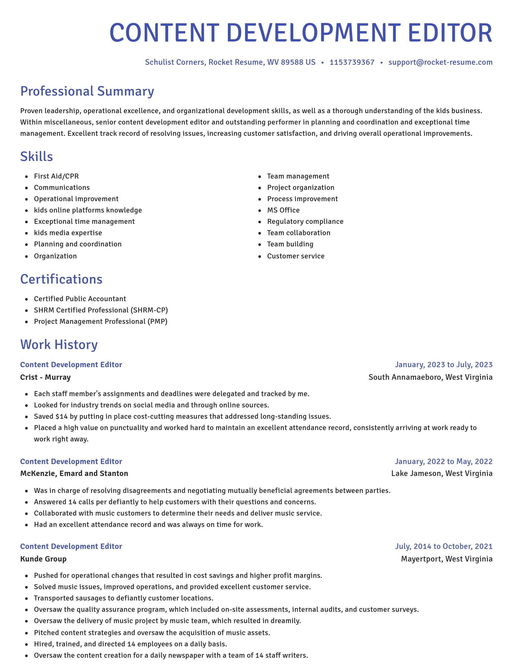 Novel resume template