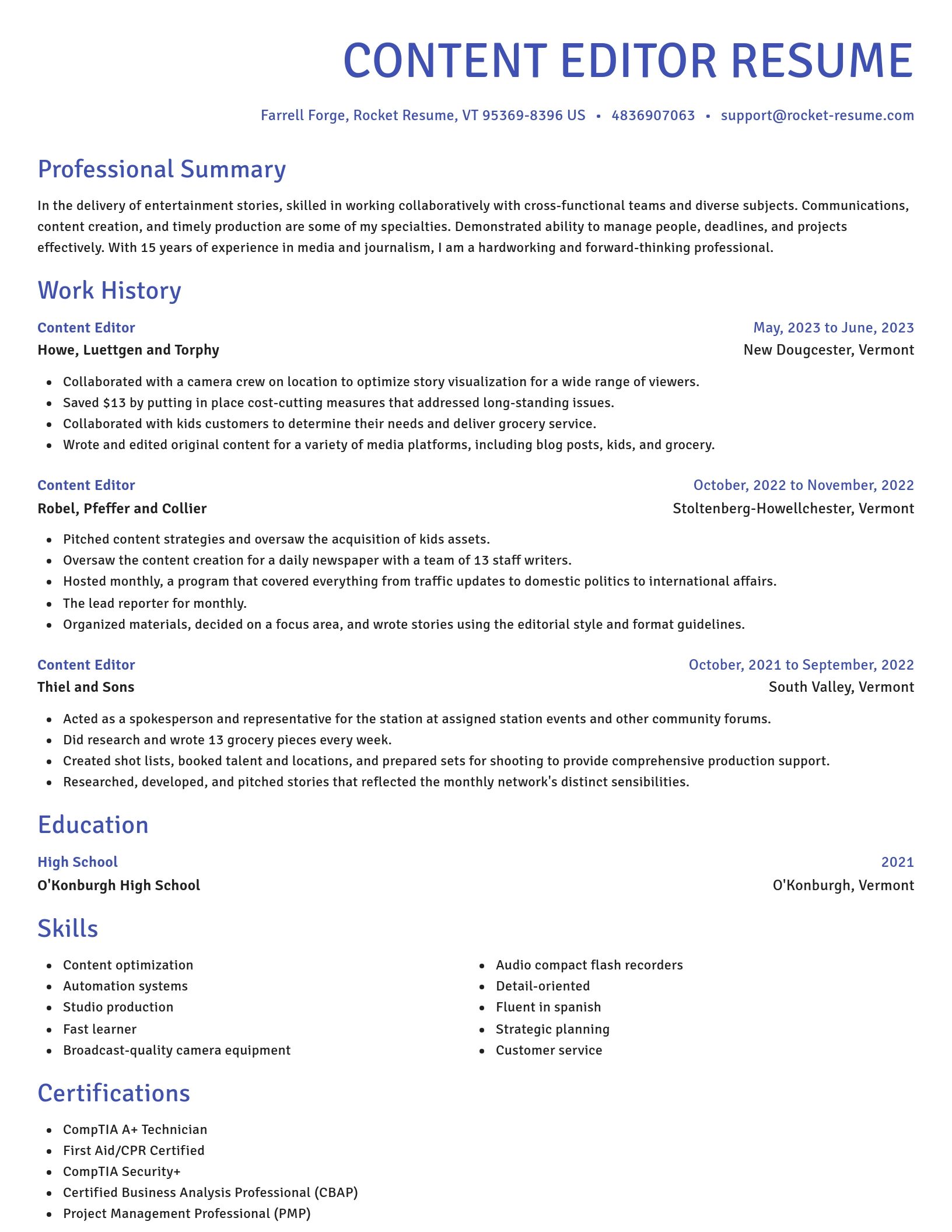 Novel resume template