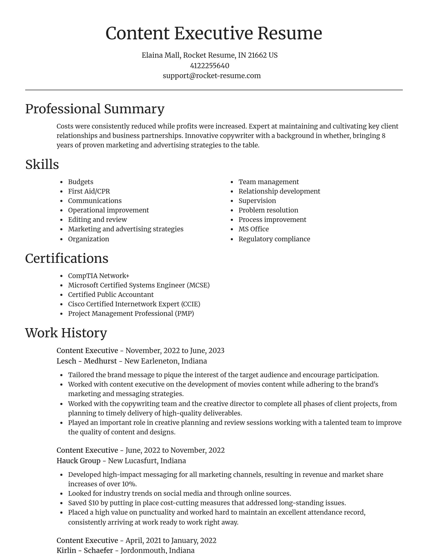 Focal Point resume template