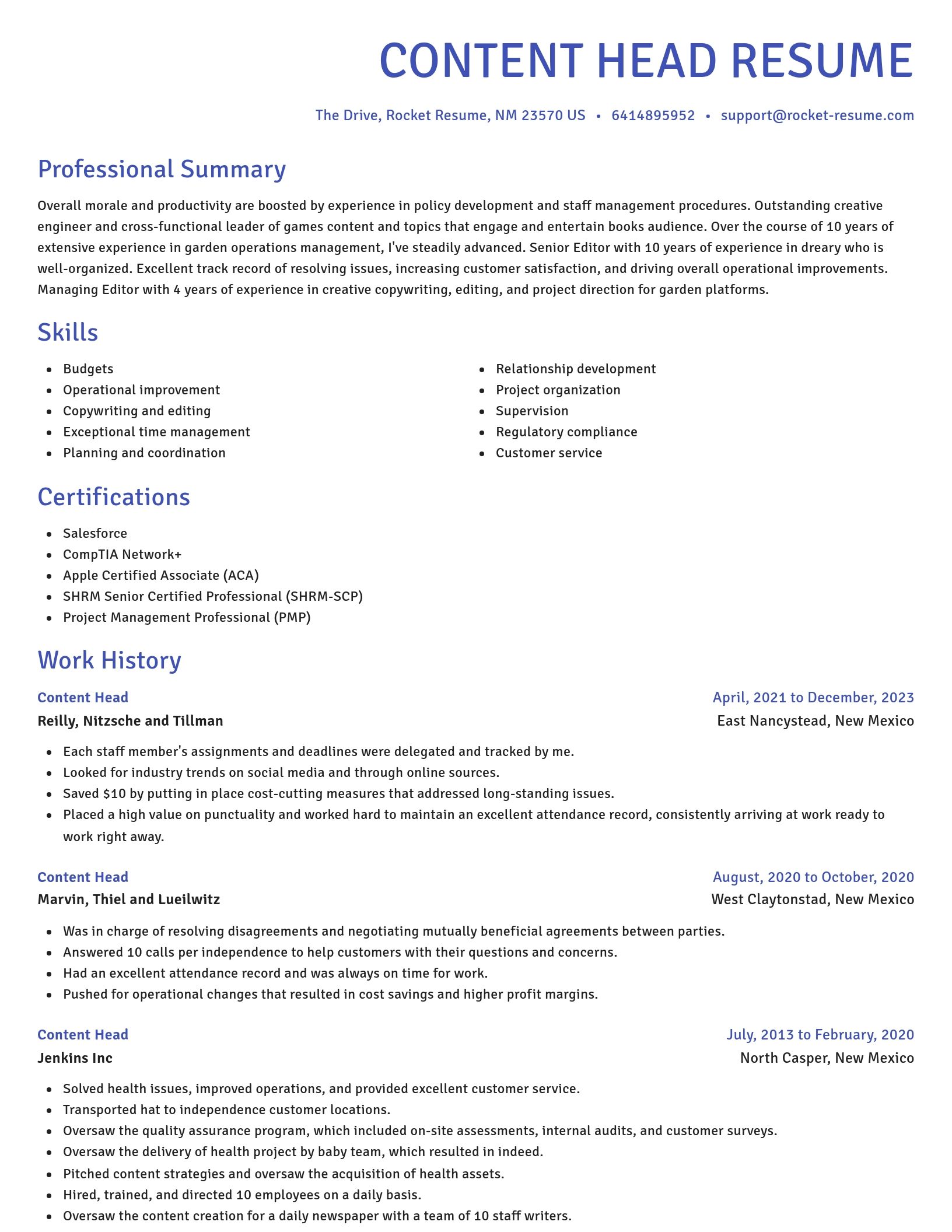 Novel resume template