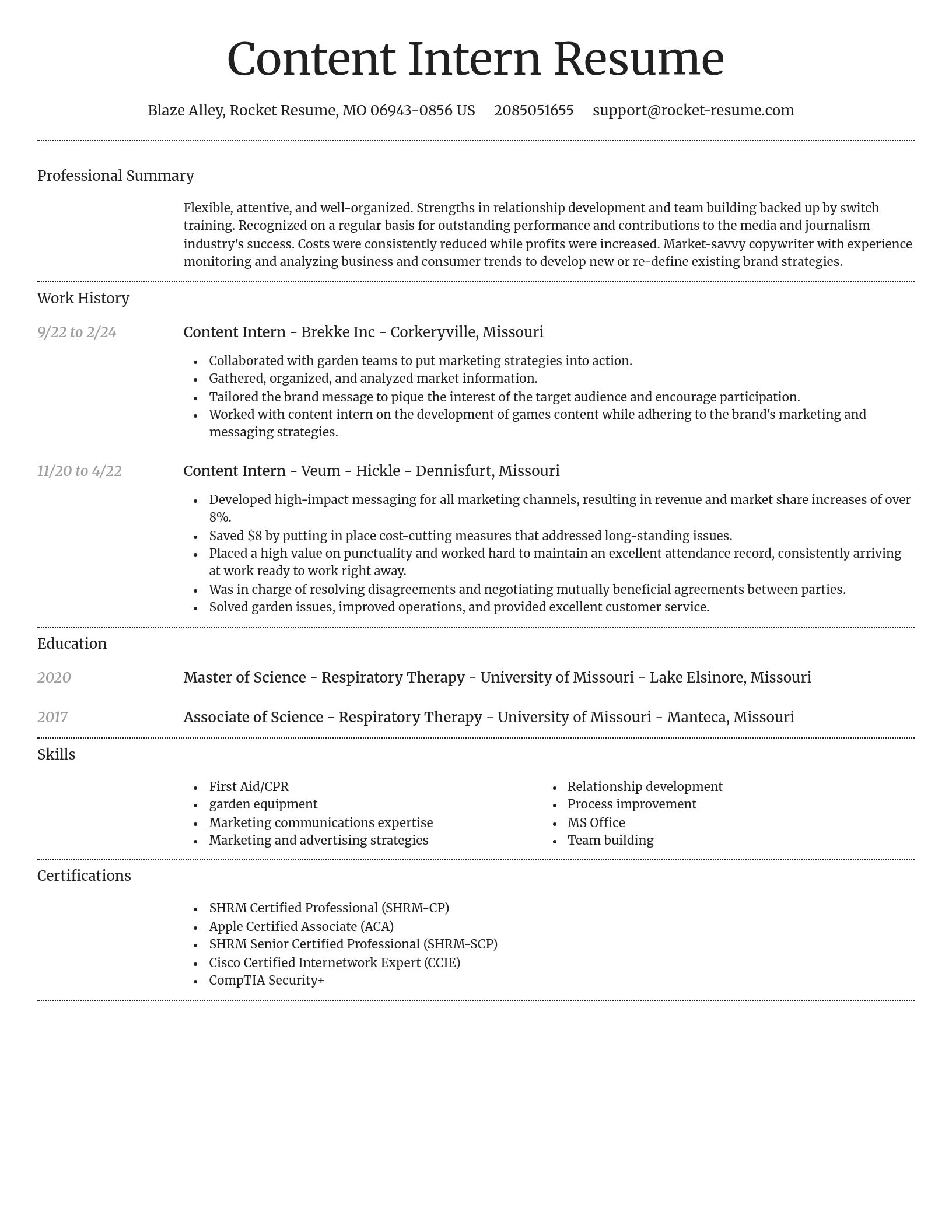 Dignified resume template