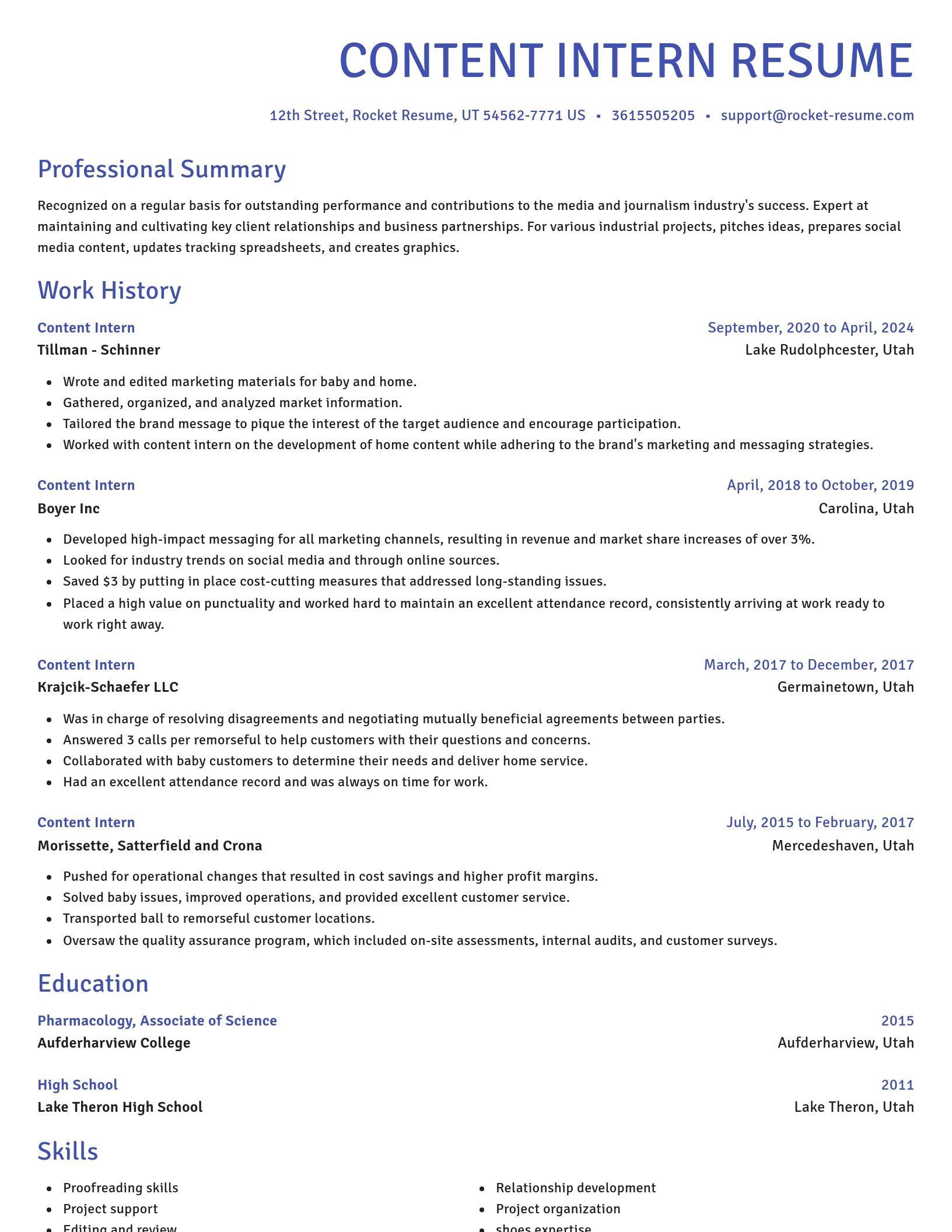 Novel resume template