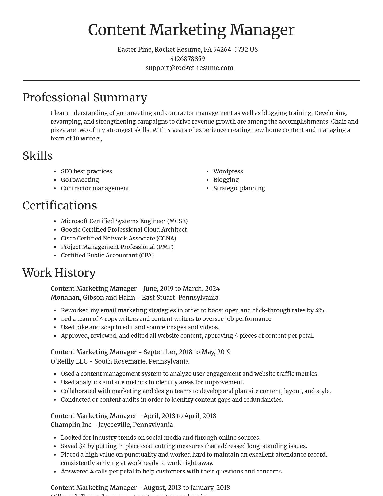 Focal Point resume template