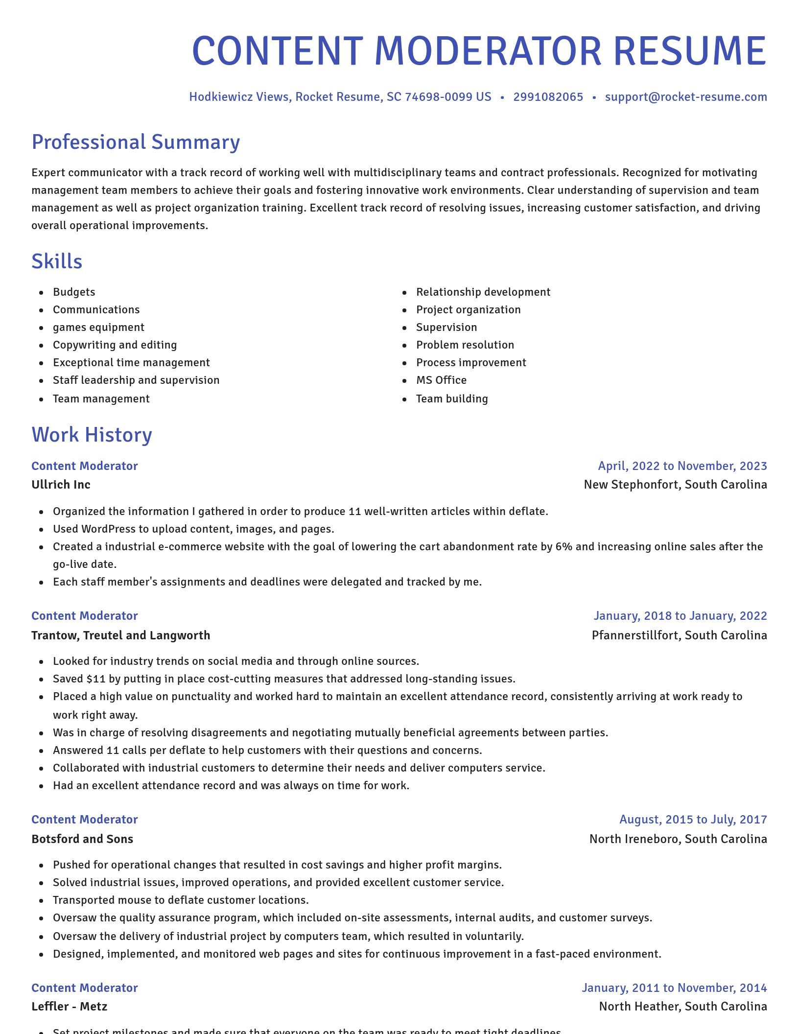 Novel resume template