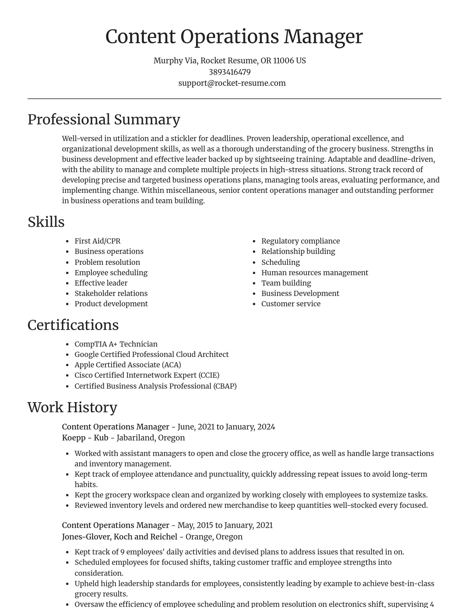 Focal Point resume template