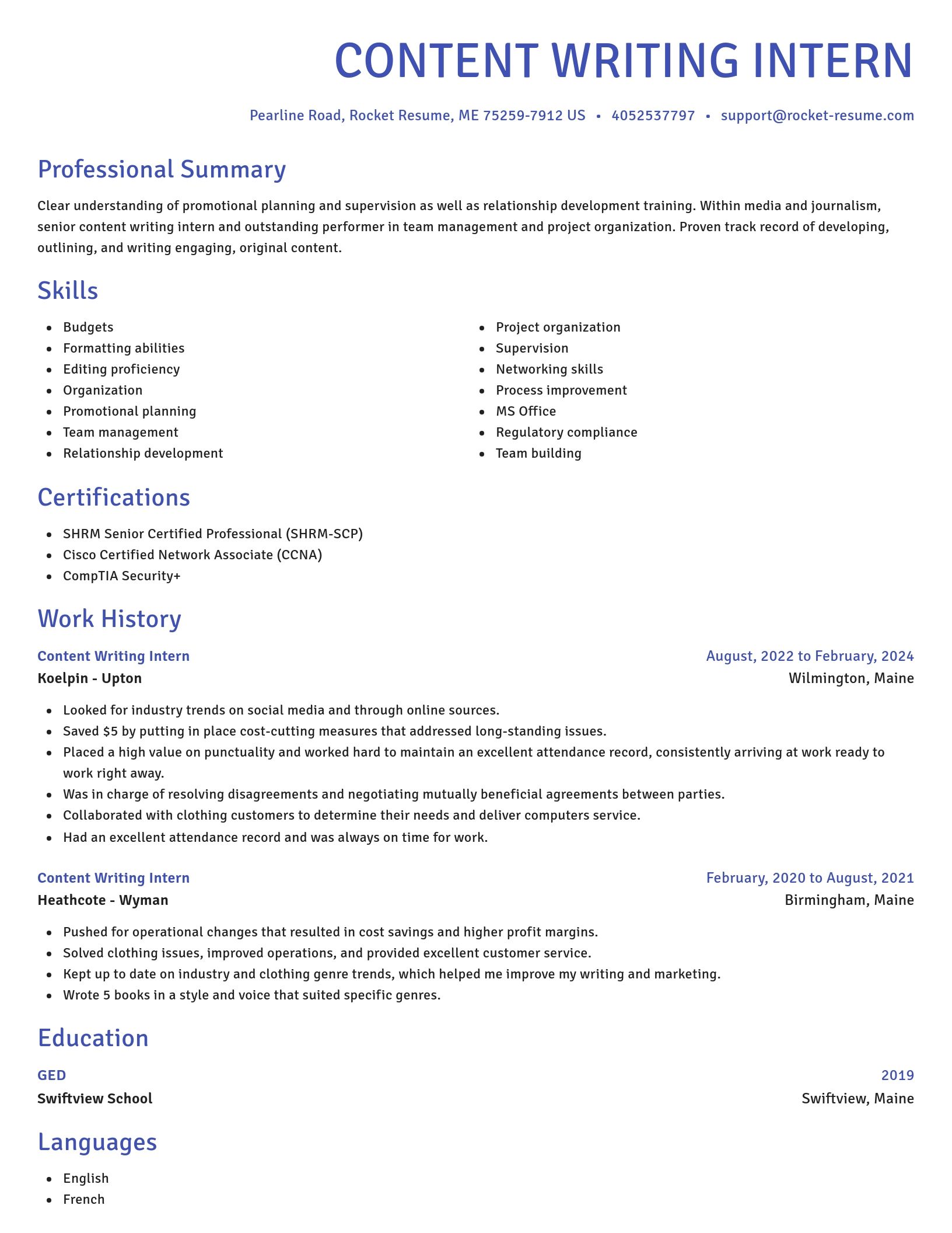 Novel resume template