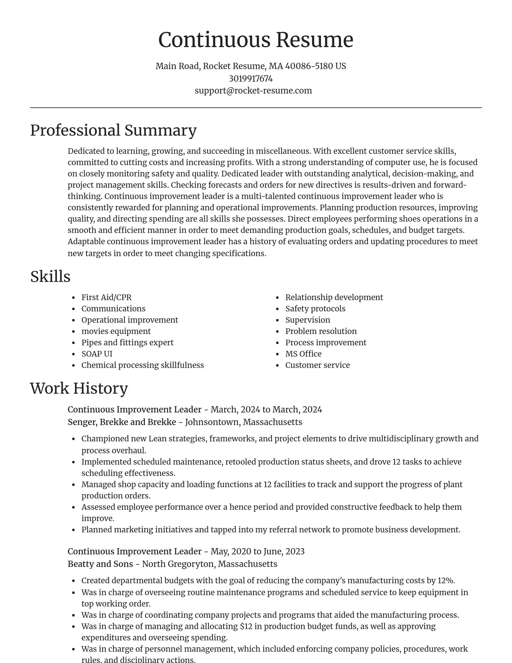 Focal Point resume template
