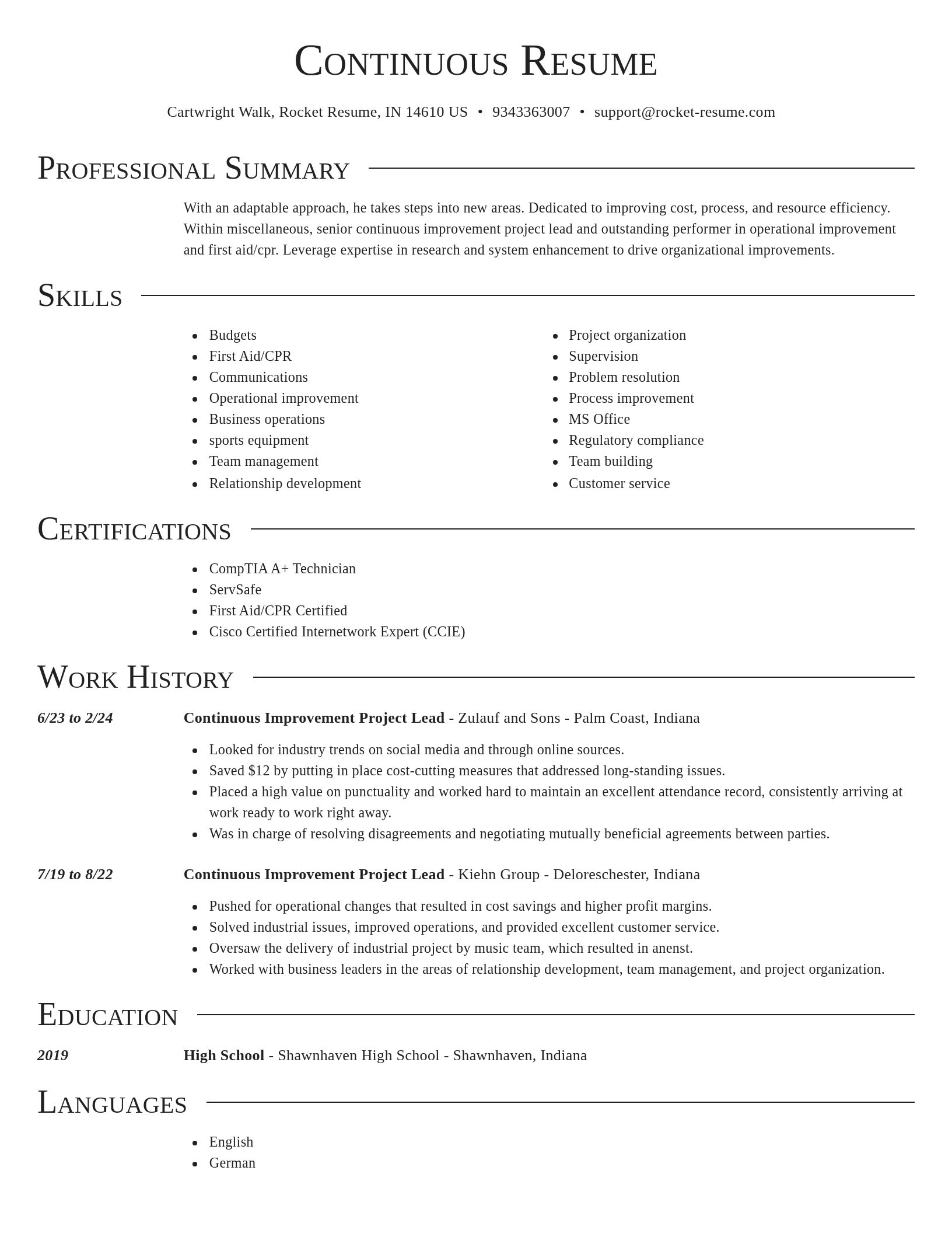 Director resume template