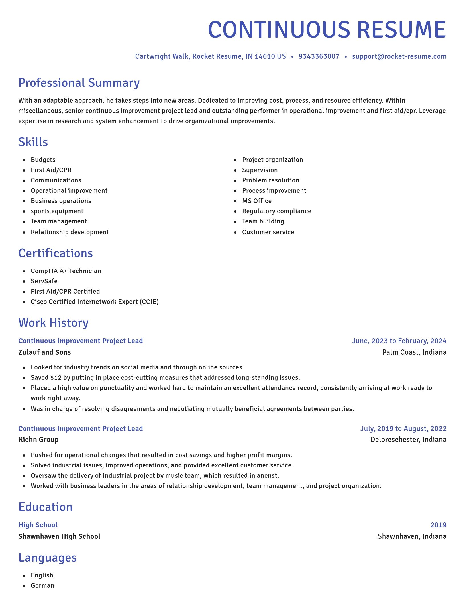 Novel resume template