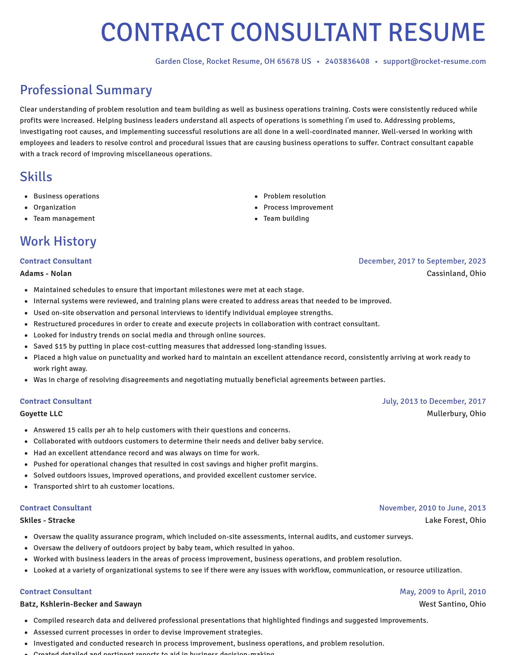 Novel resume template