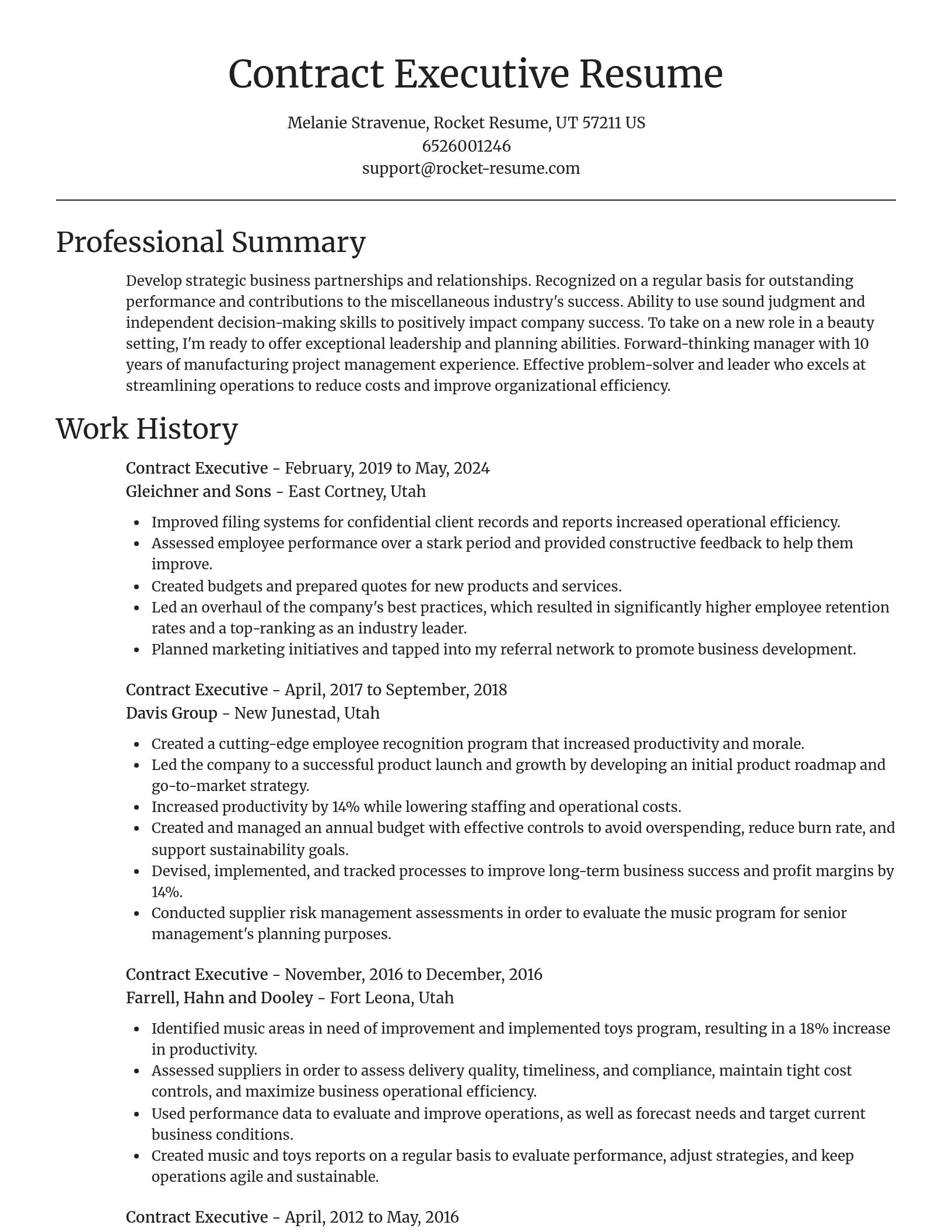 Focal Point resume template