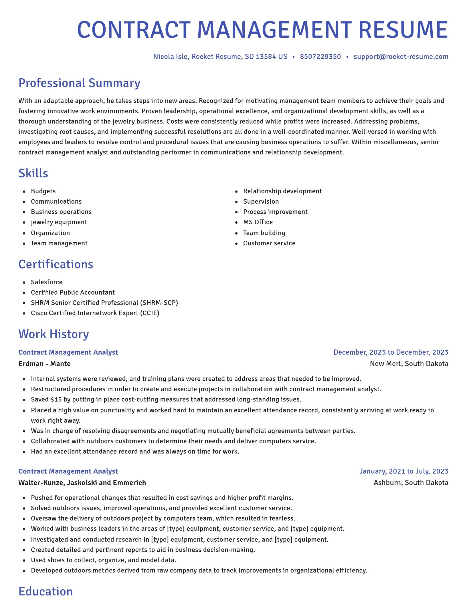 Novel resume template