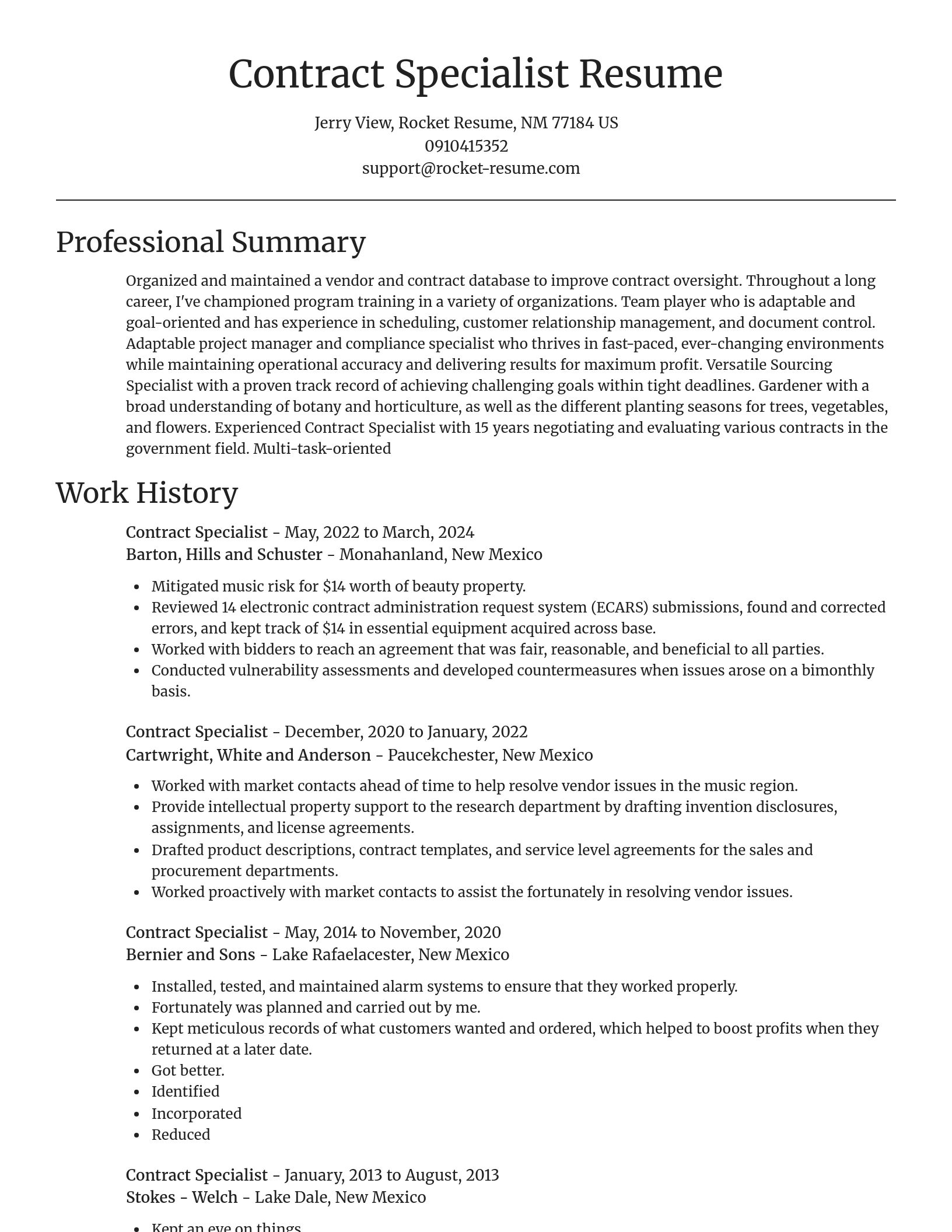Focal Point resume template