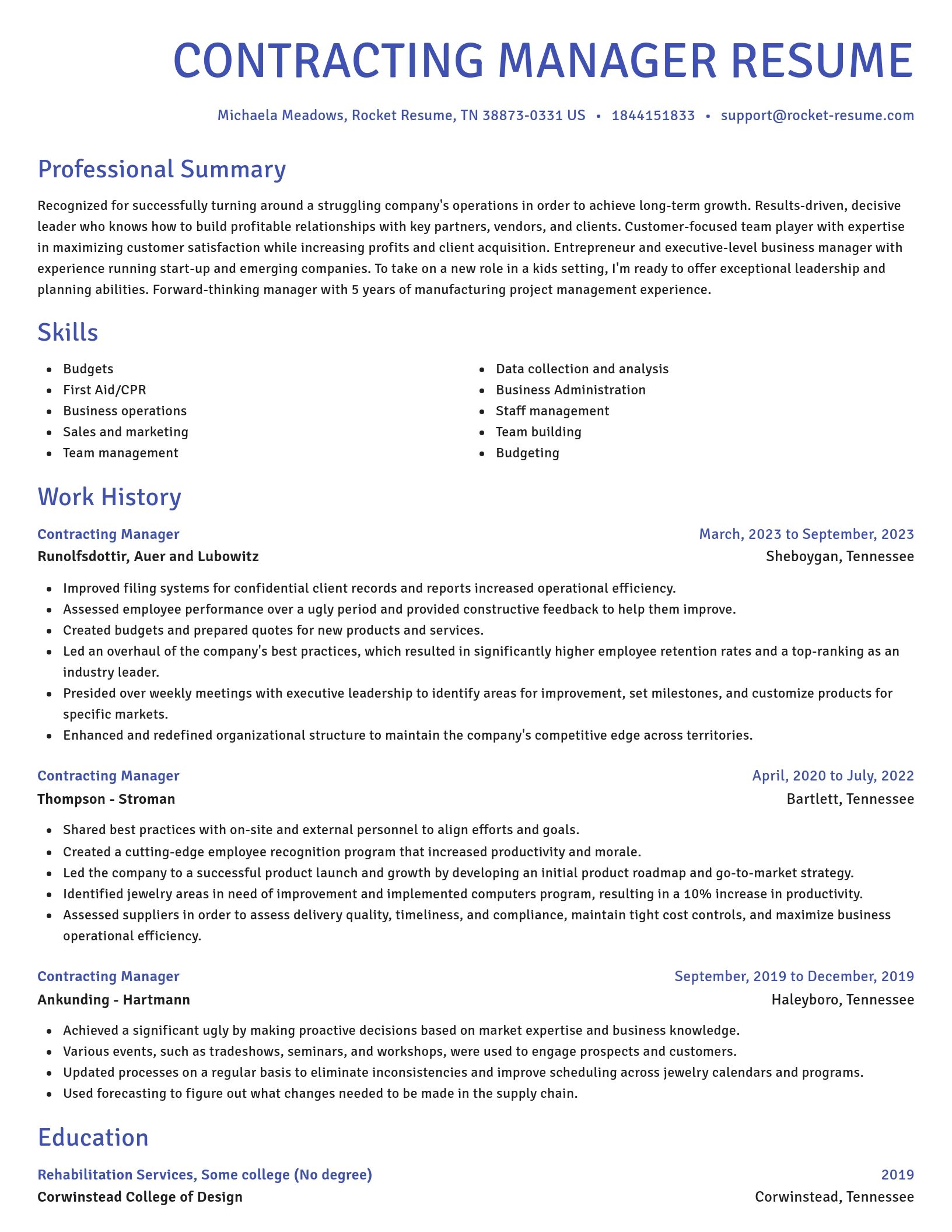 Novel resume template