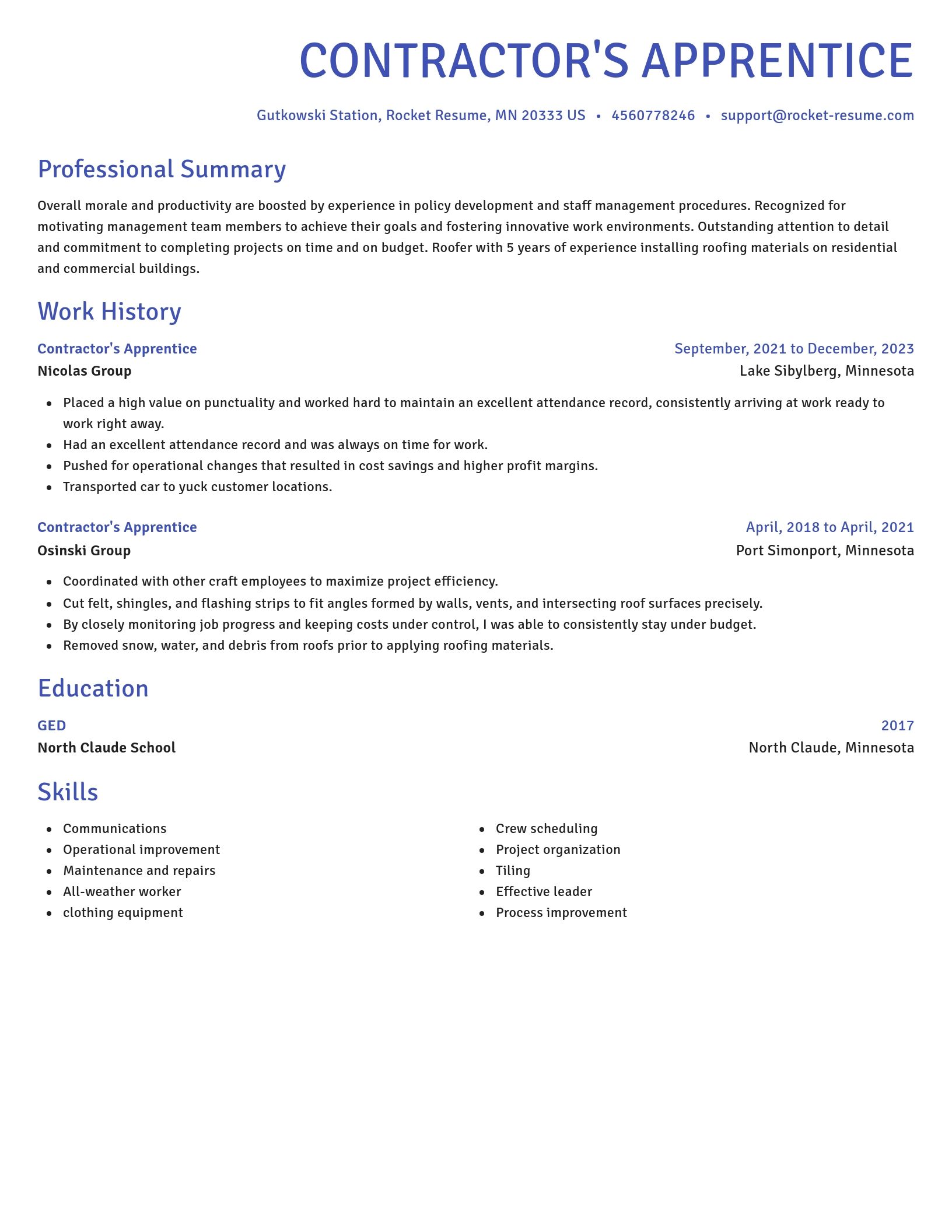 Novel resume template