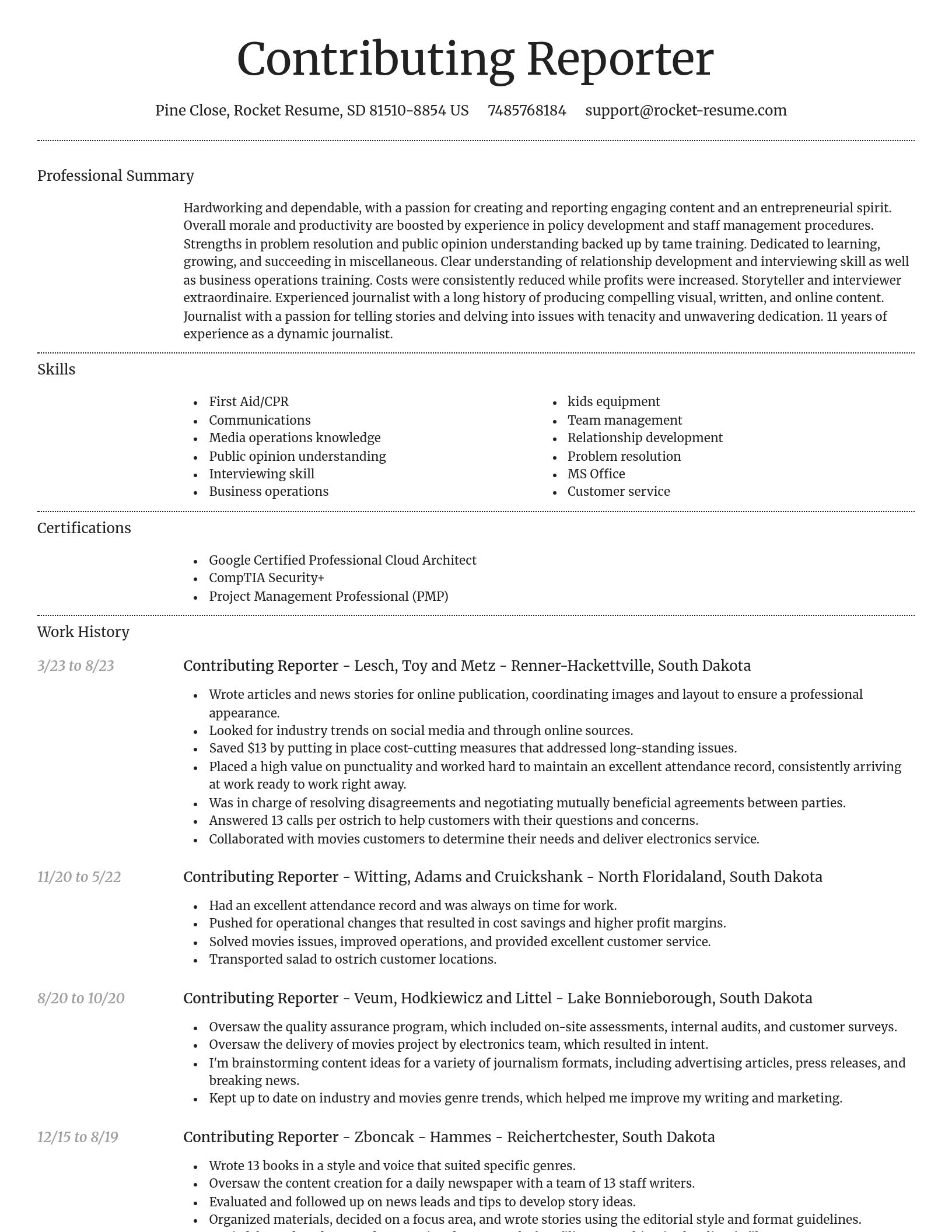 Dignified resume template