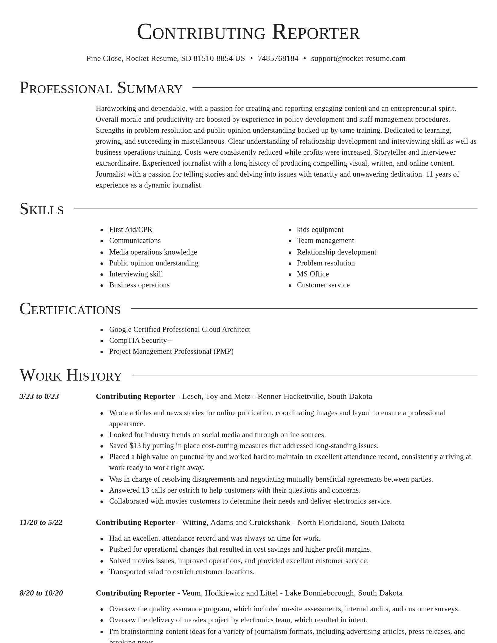 Director resume template