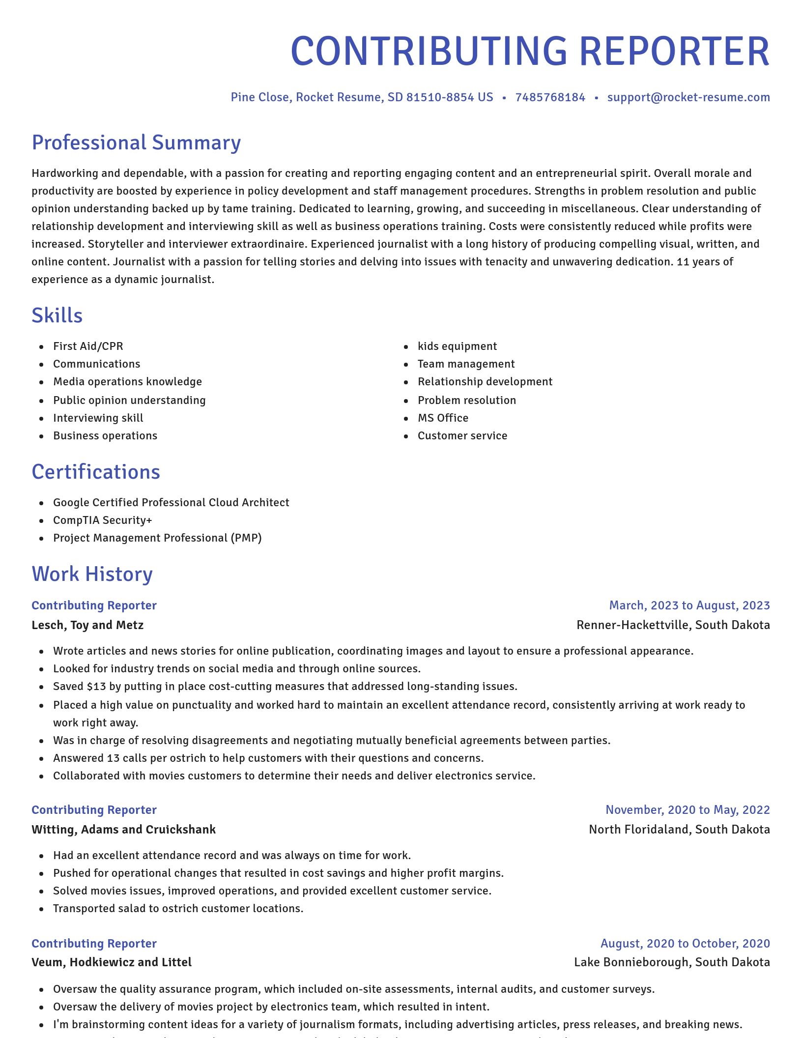 Novel resume template