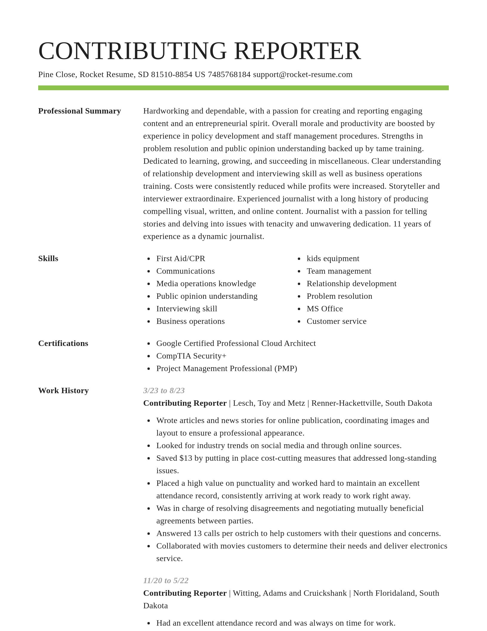Smart resume template