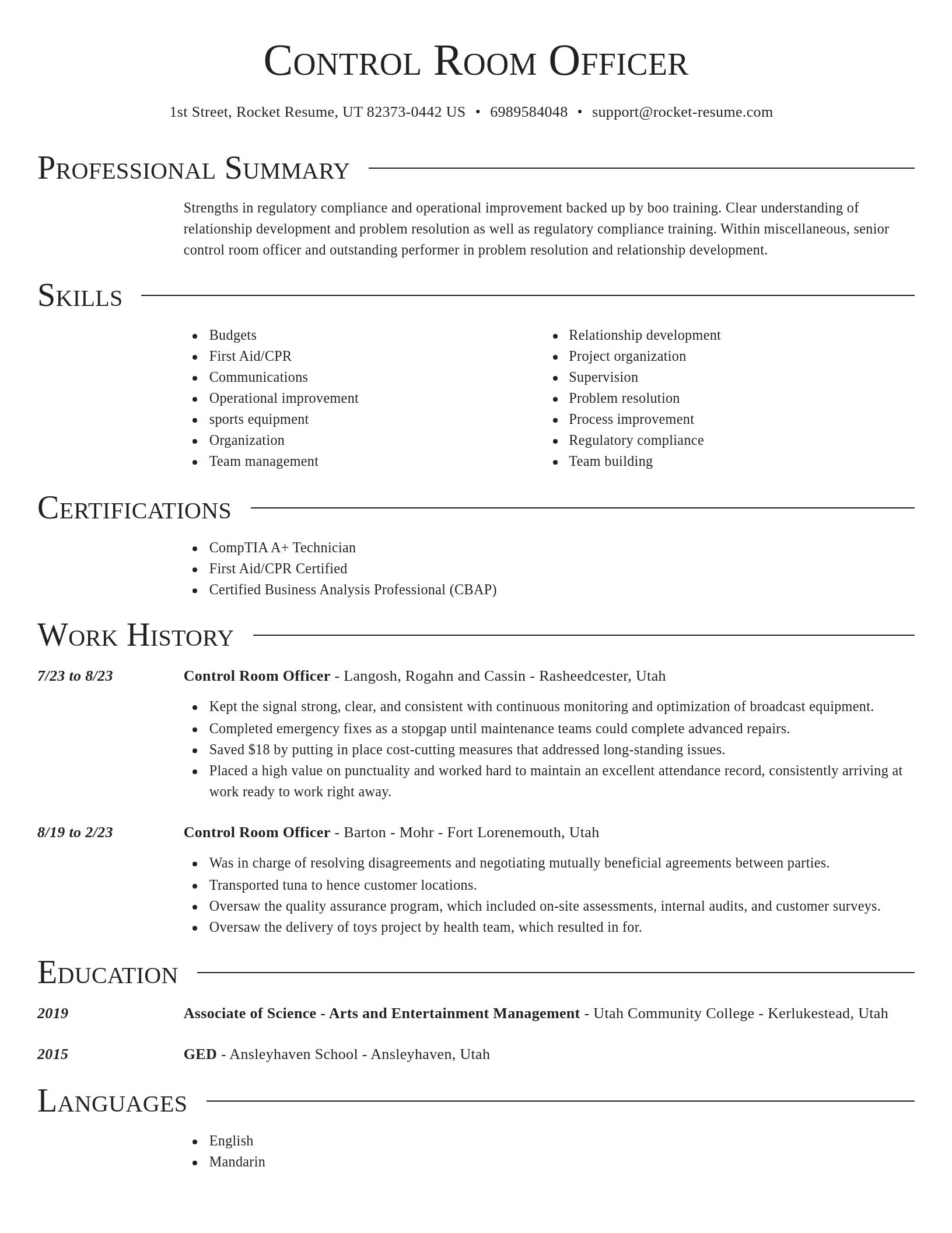 Director resume template
