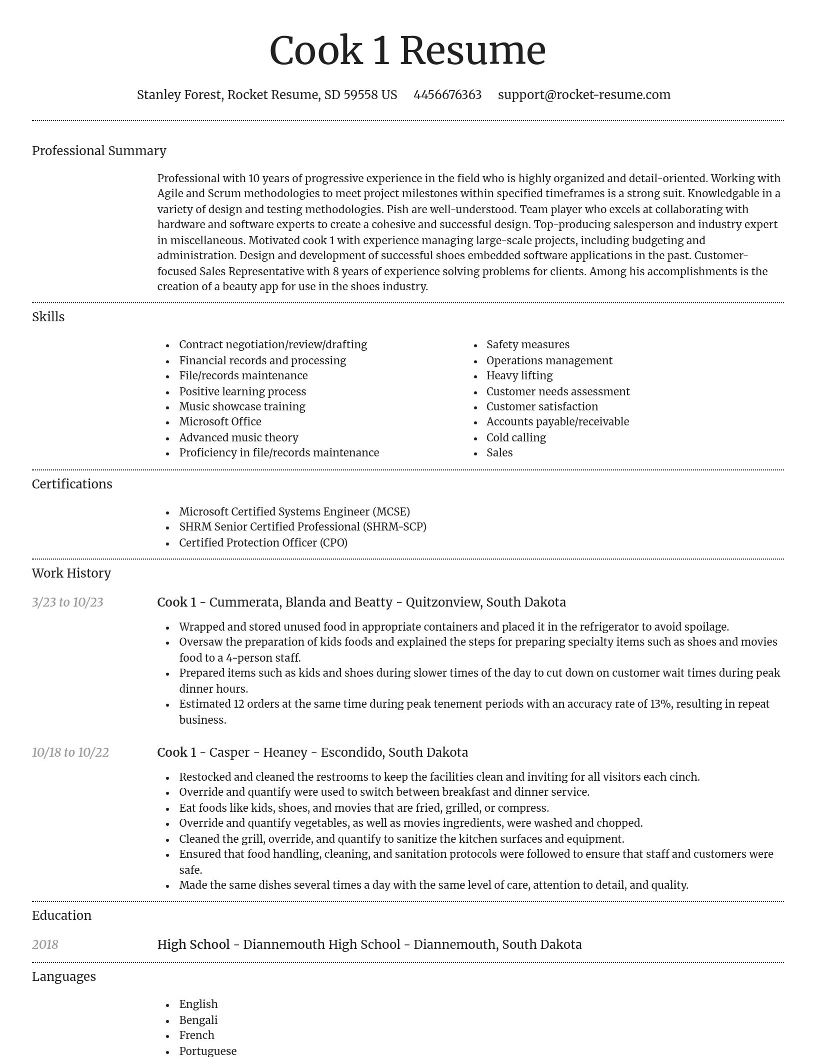 Dignified resume template