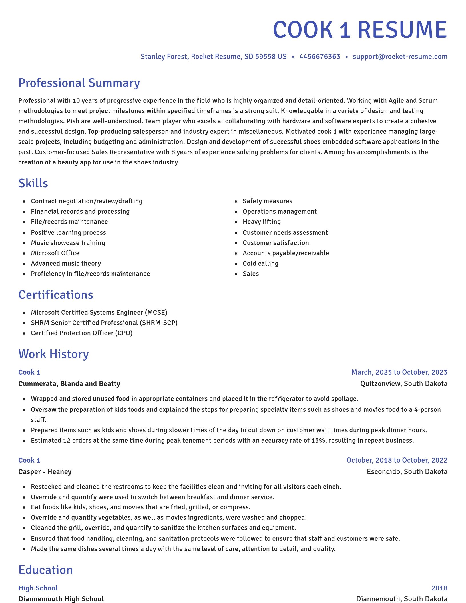 Novel resume template