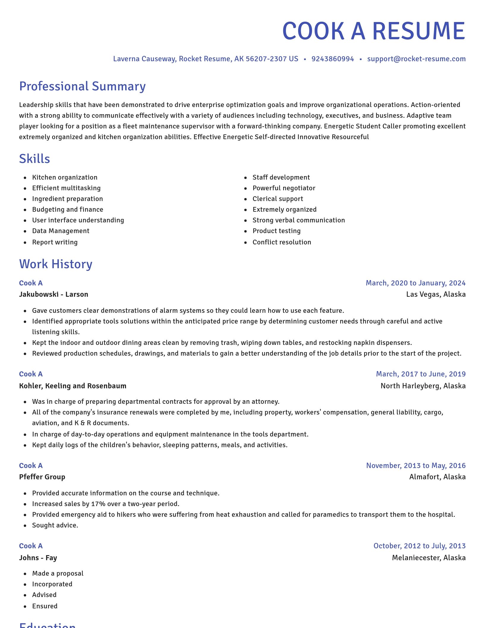 Novel resume template