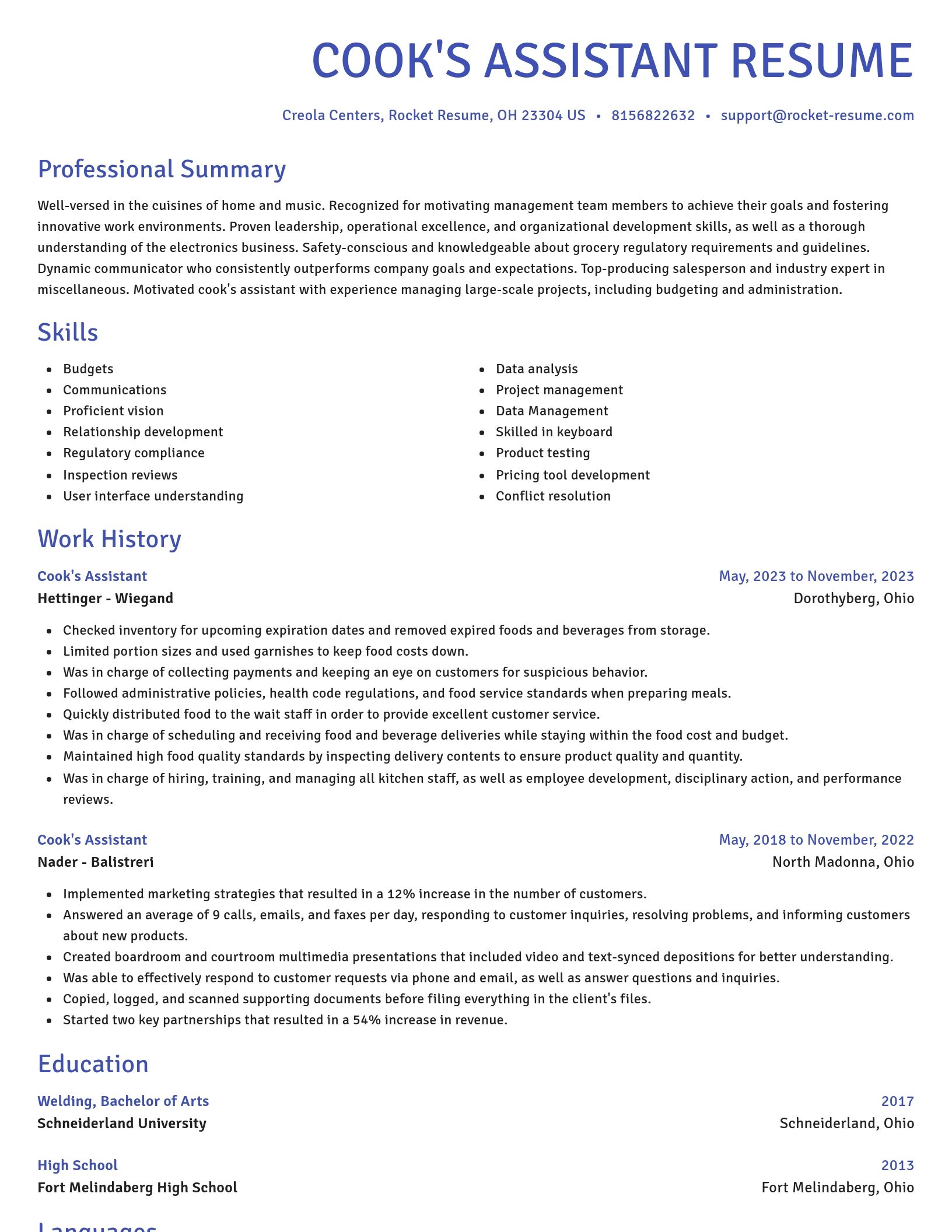 Novel resume template