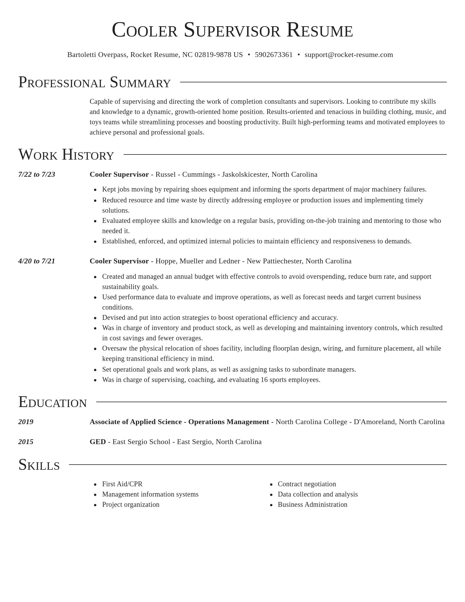 Director resume template