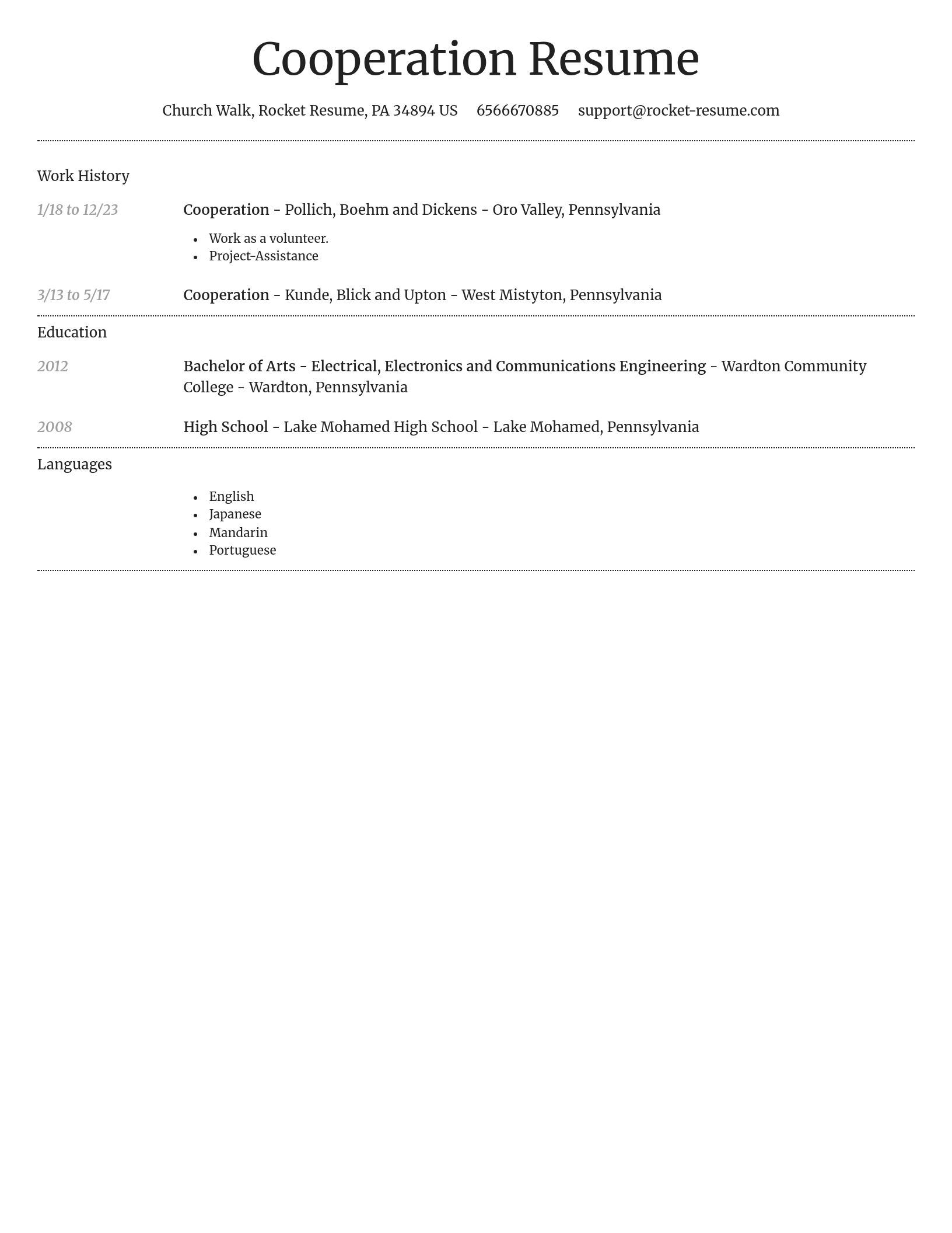 Dignified resume template