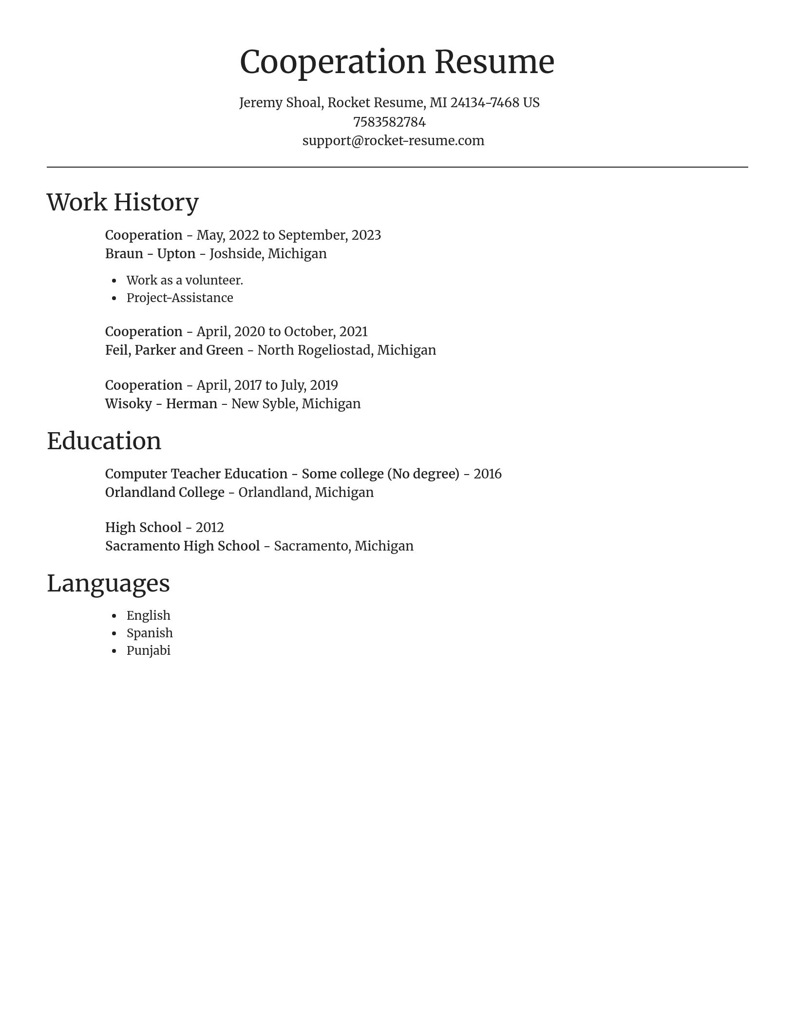 Focal Point resume template