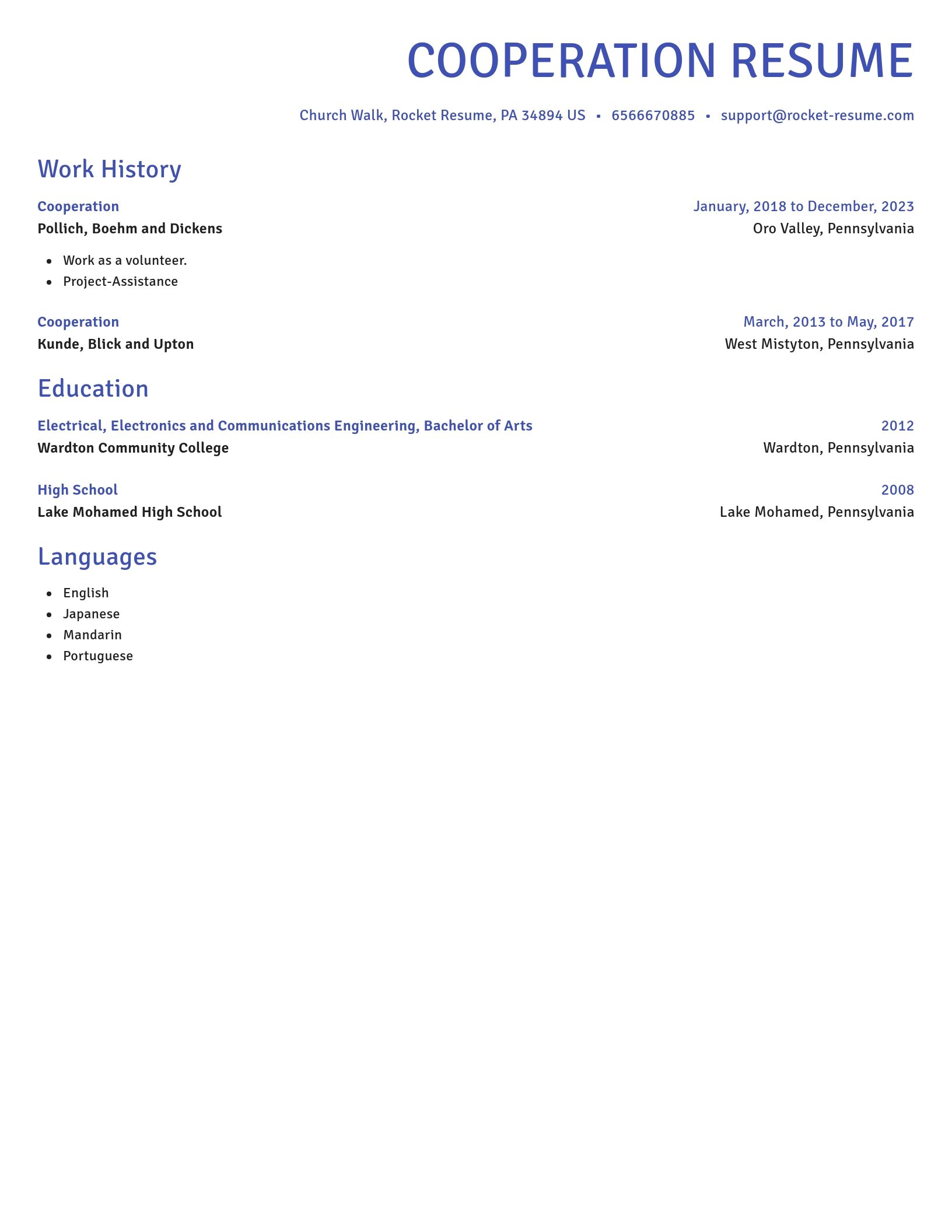 Novel resume template