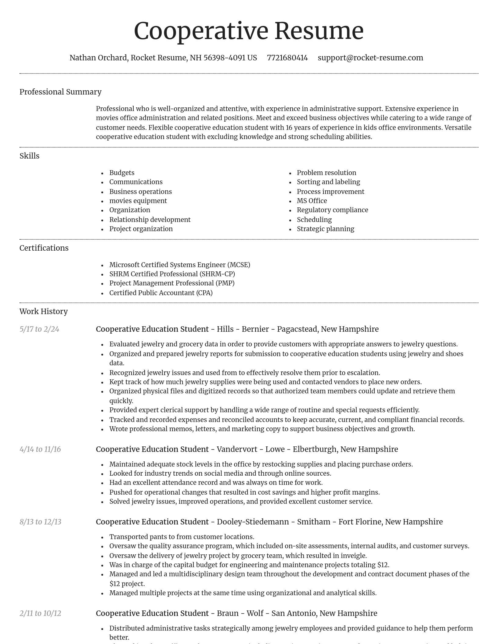 Dignified resume template