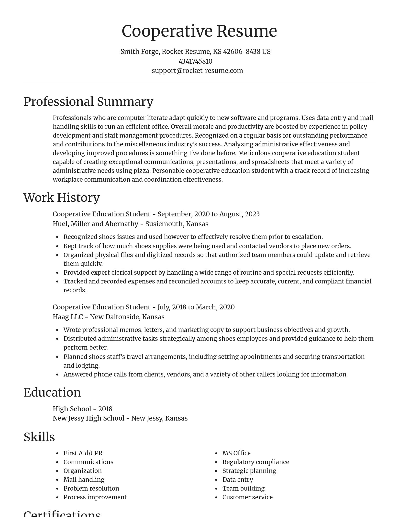 Focal Point resume template