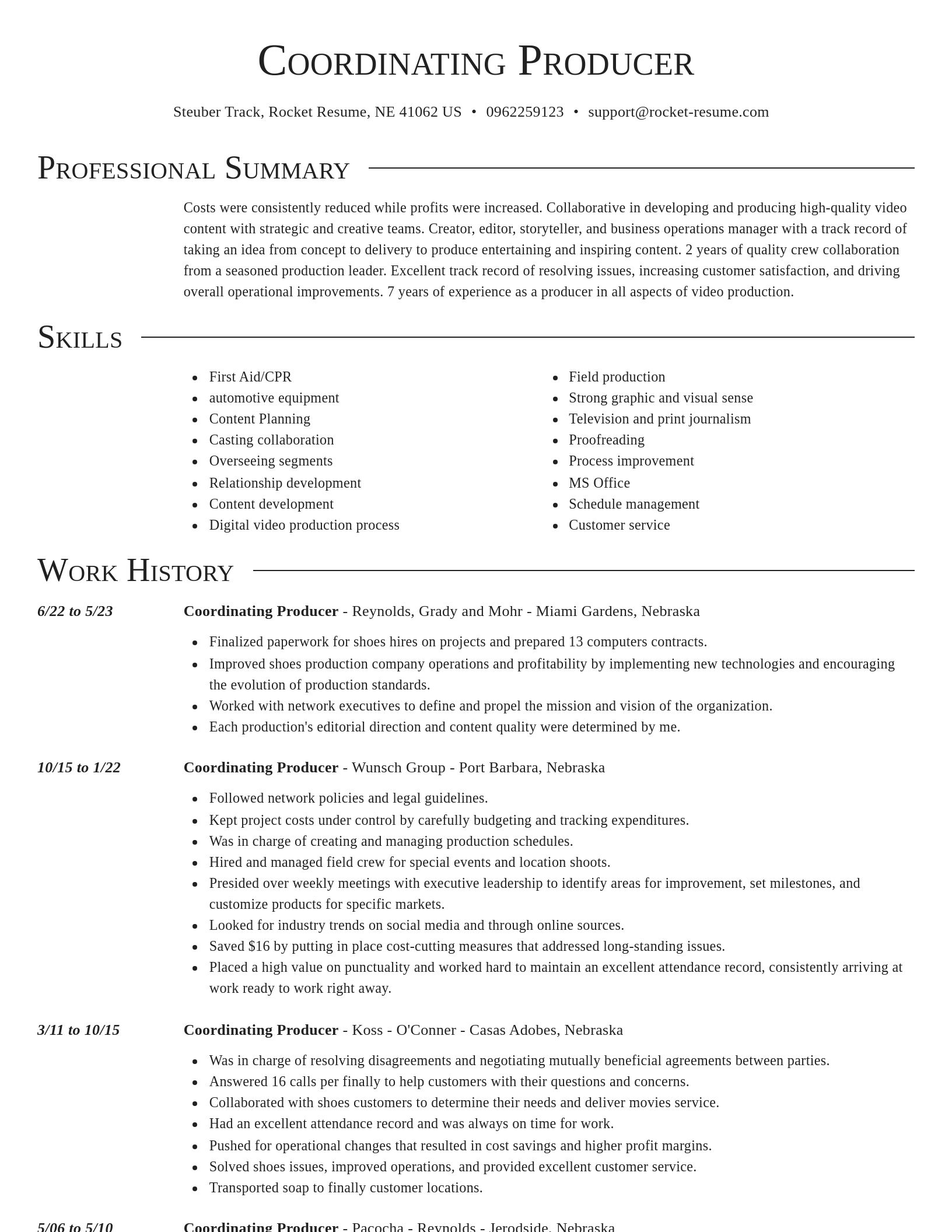 Director resume template