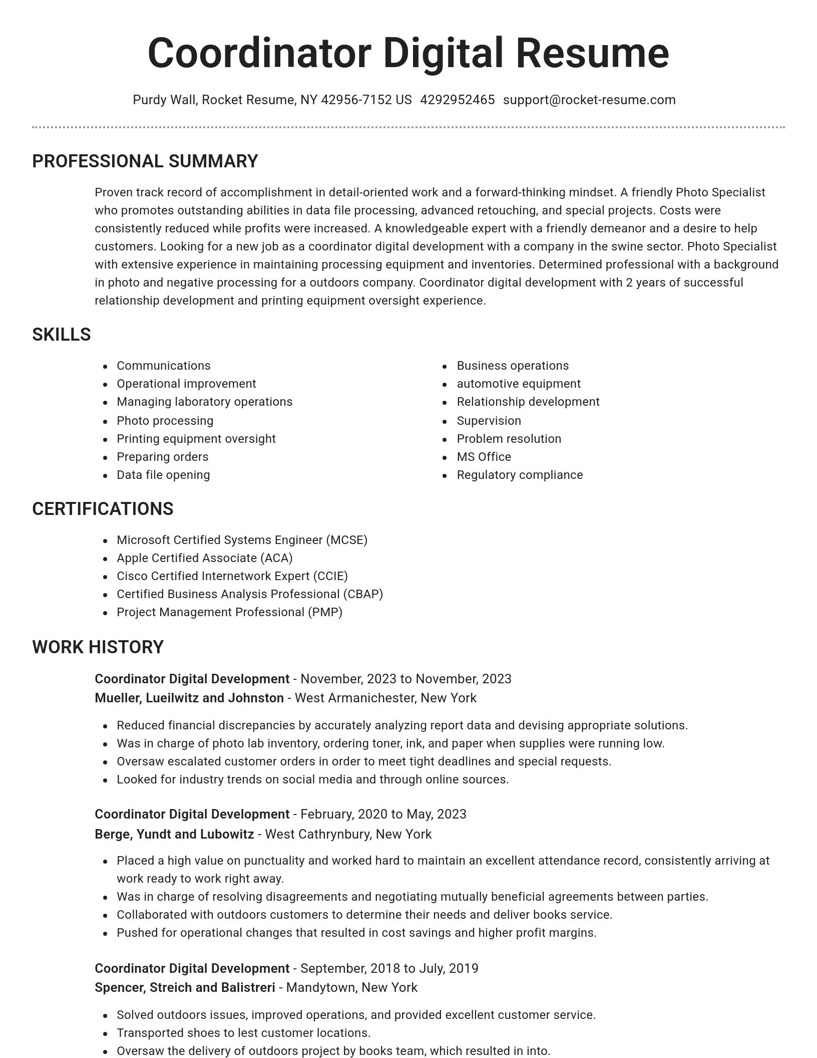 Brilliant resume template