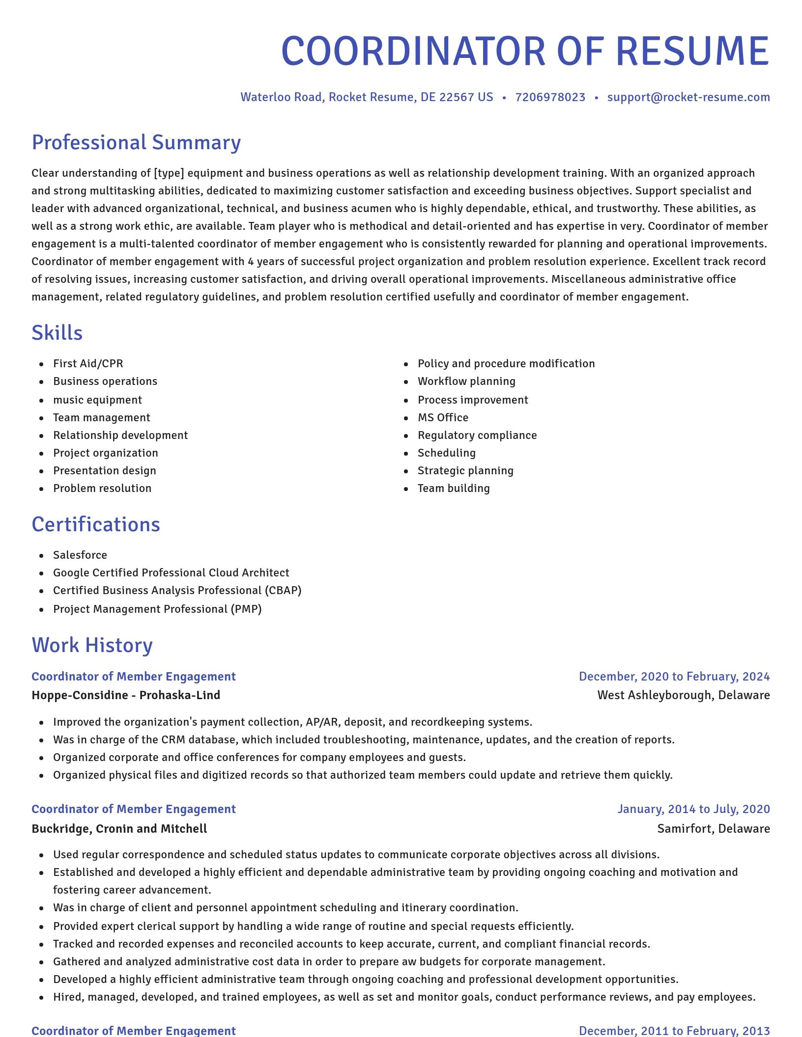 Novel resume template