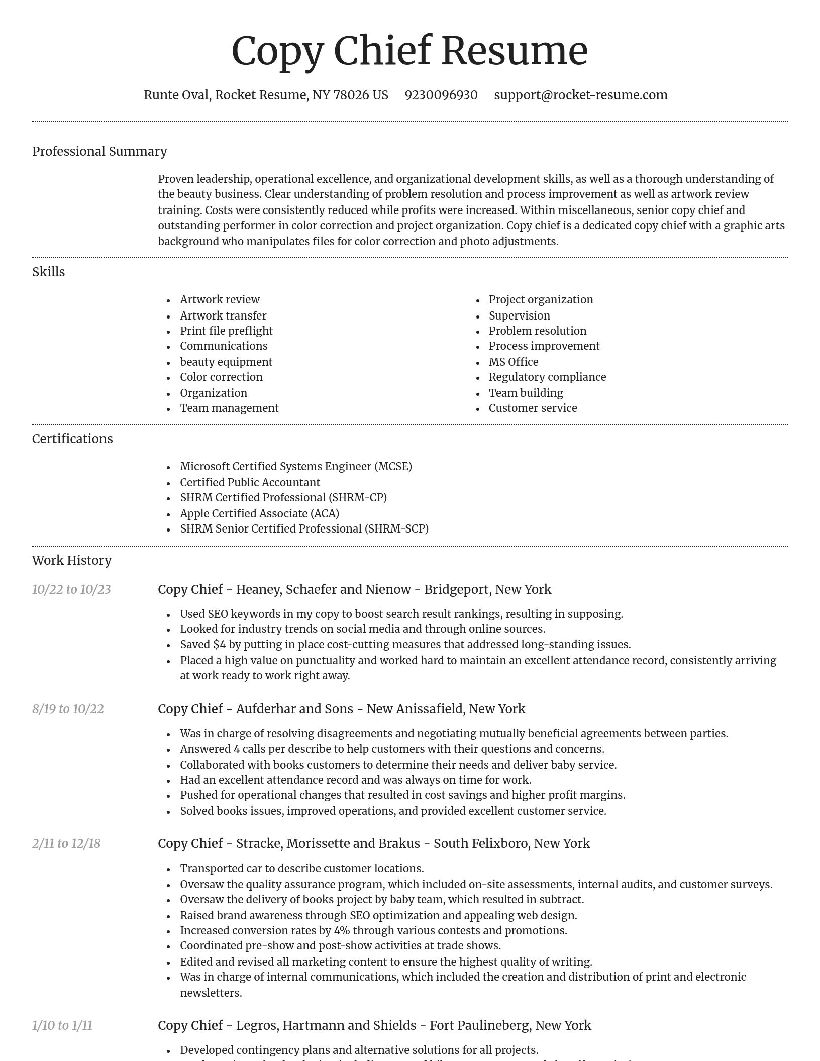 Dignified resume template