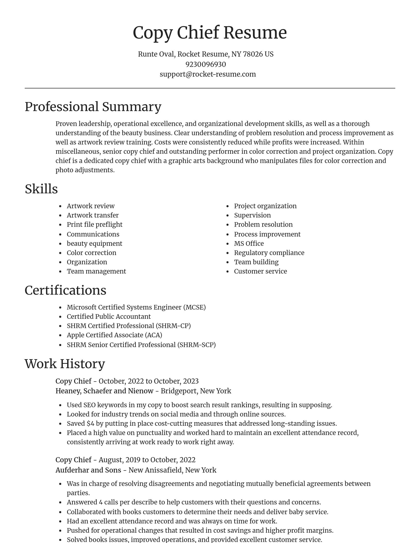 Focal Point resume template