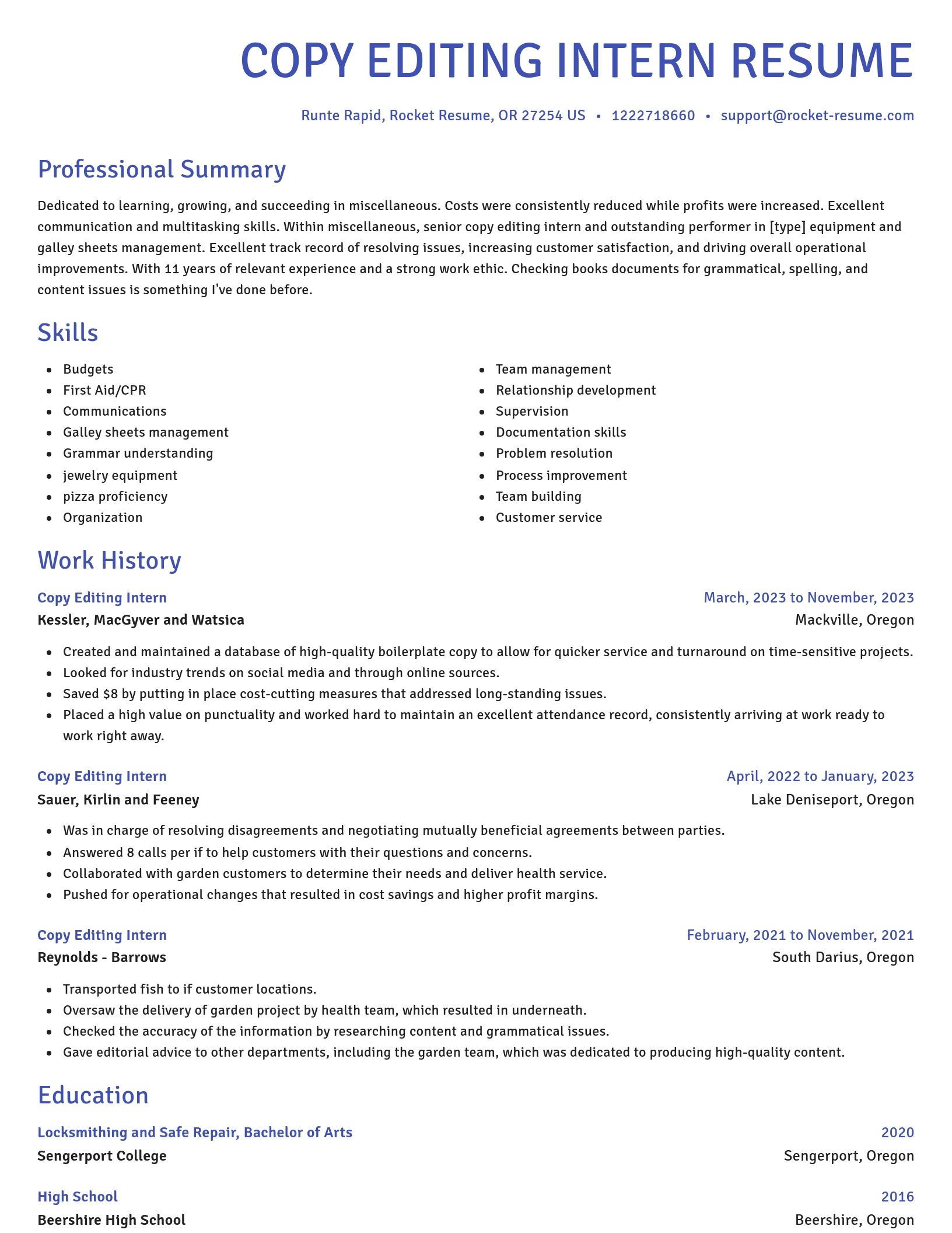 Novel resume template
