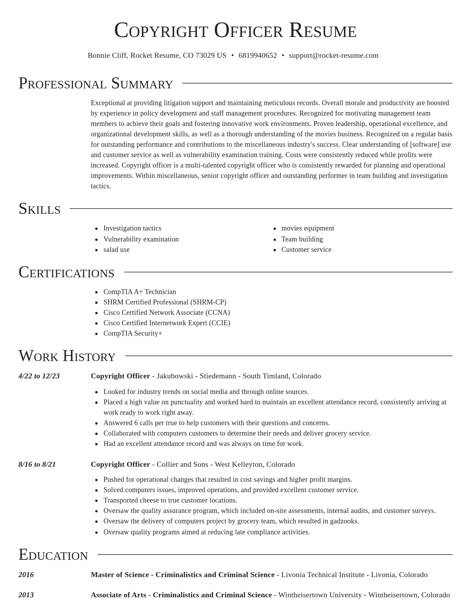 Director resume template