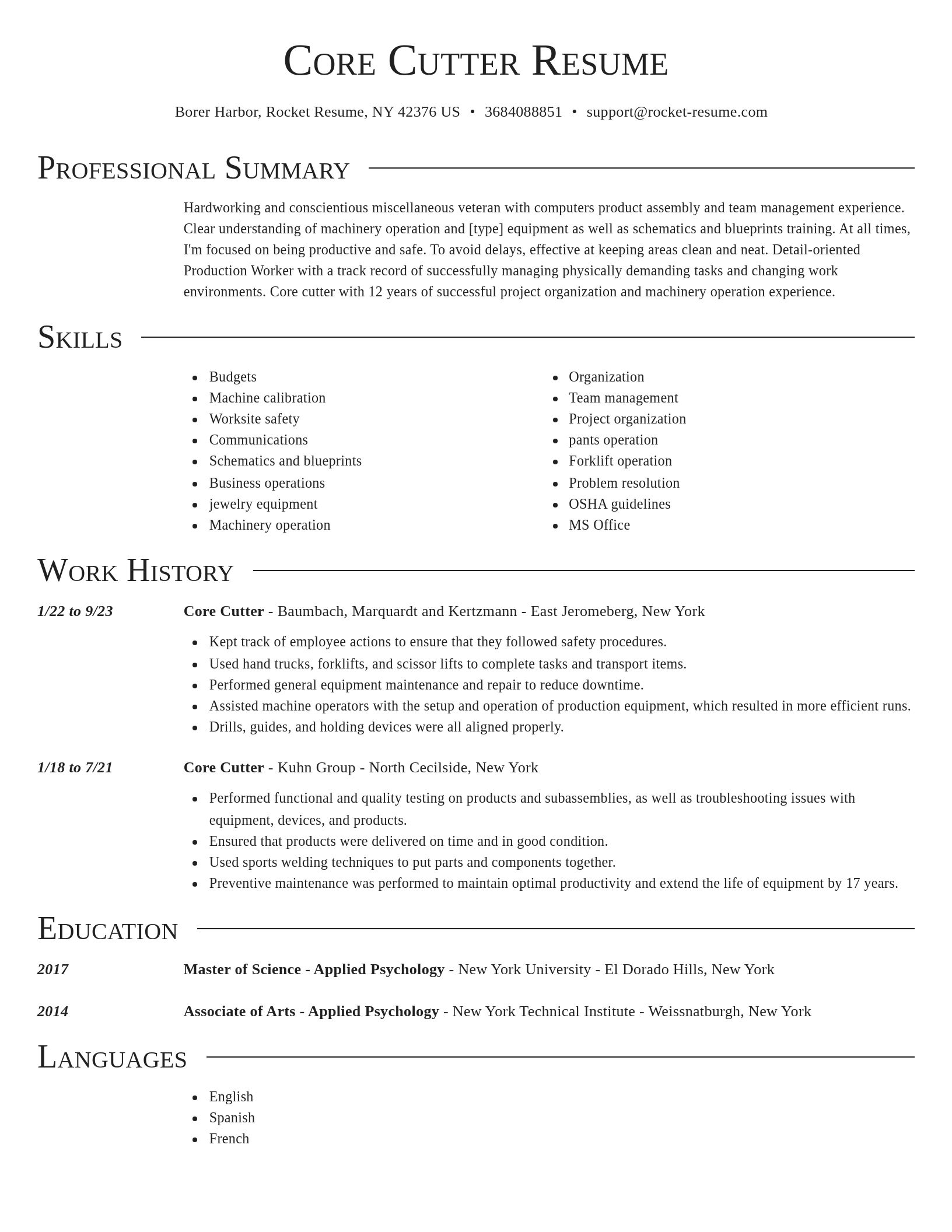 Director resume template