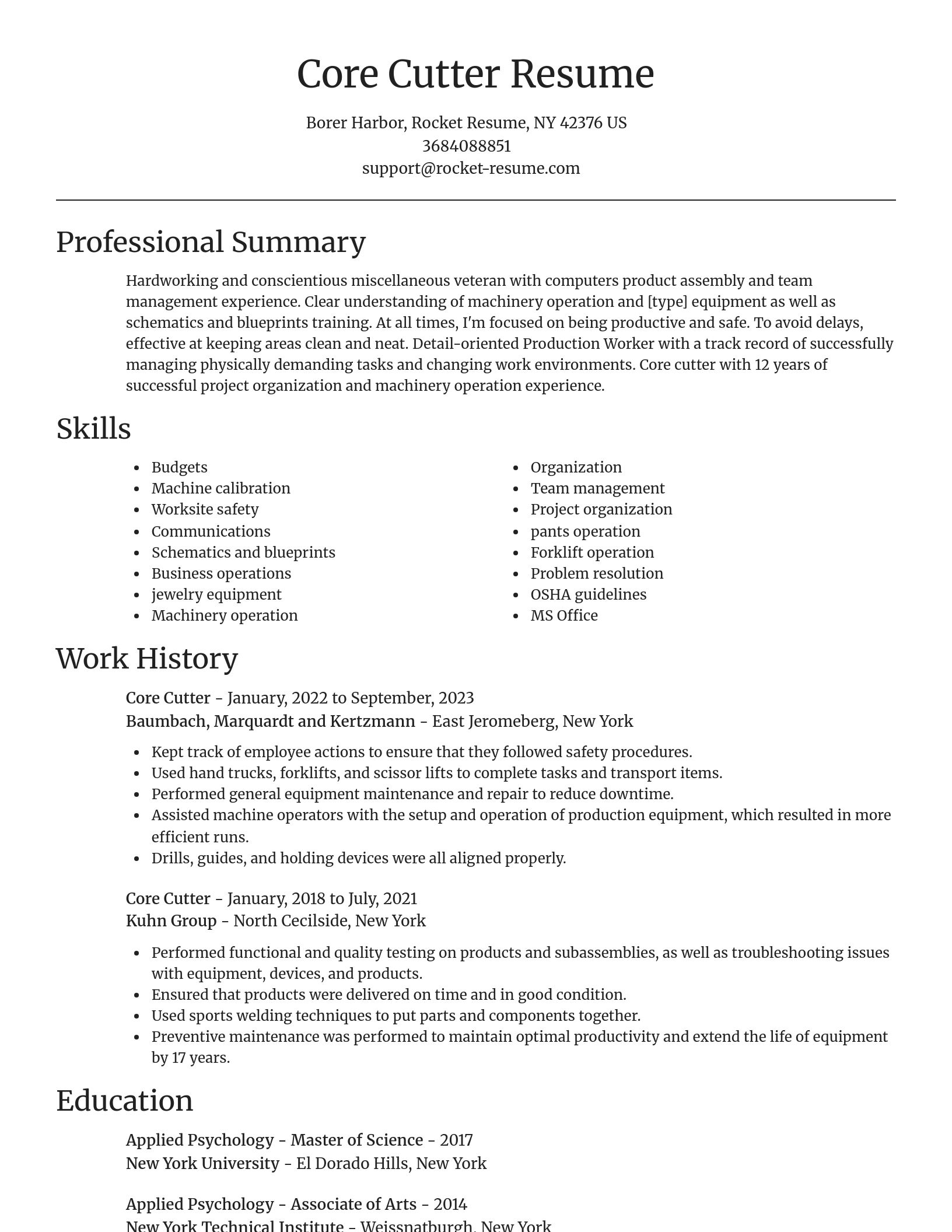 Focal Point resume template
