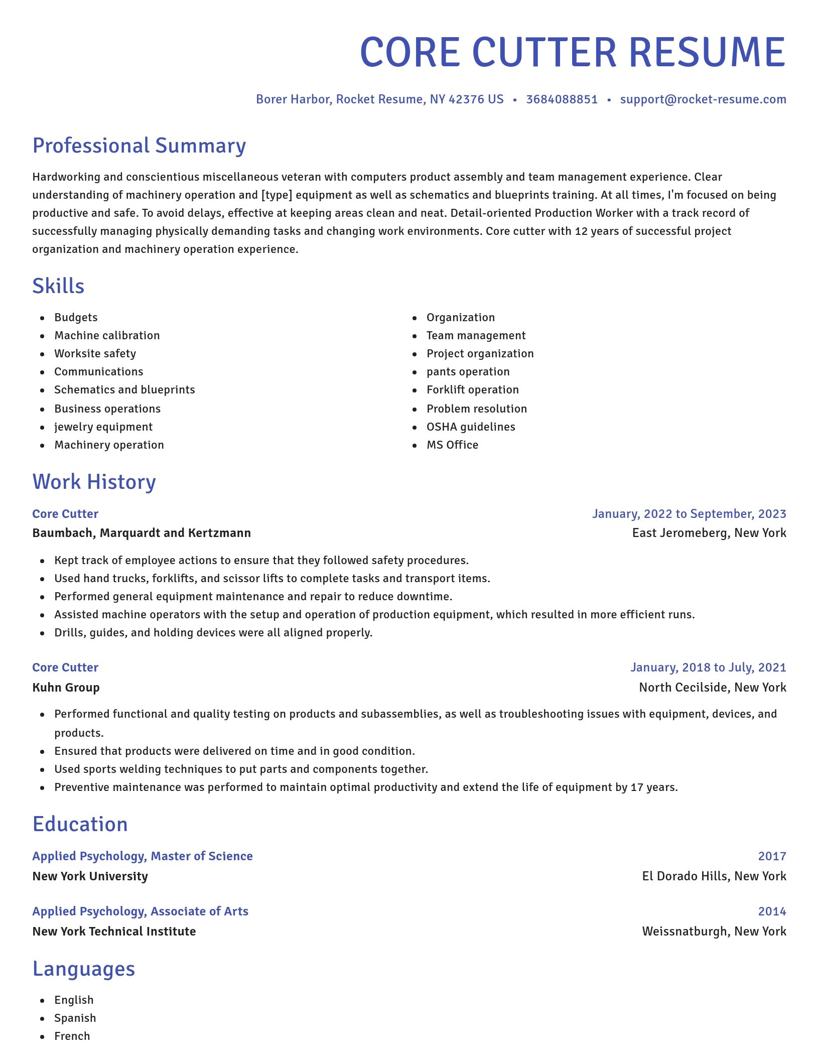 Novel resume template